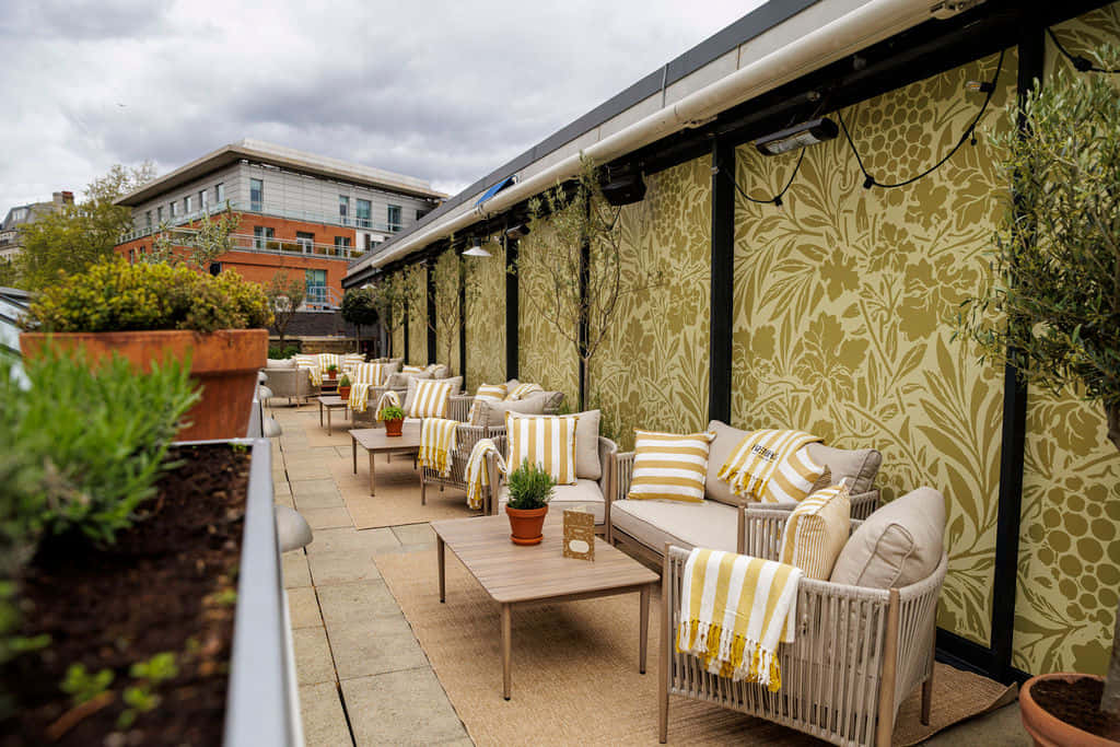 Terrace 6