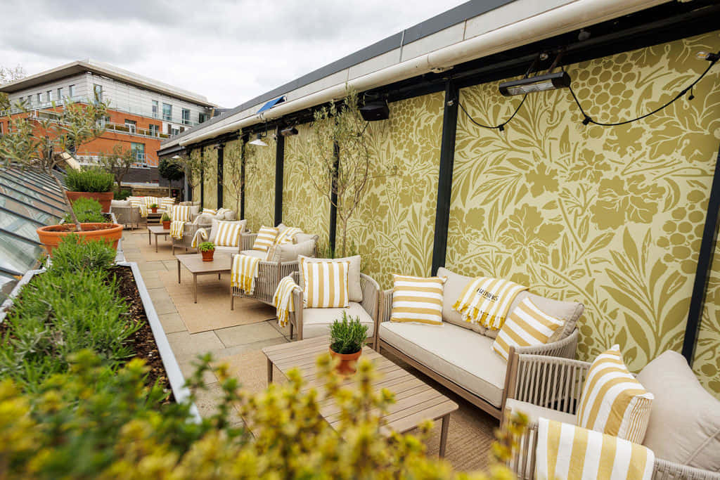 Terrace 4