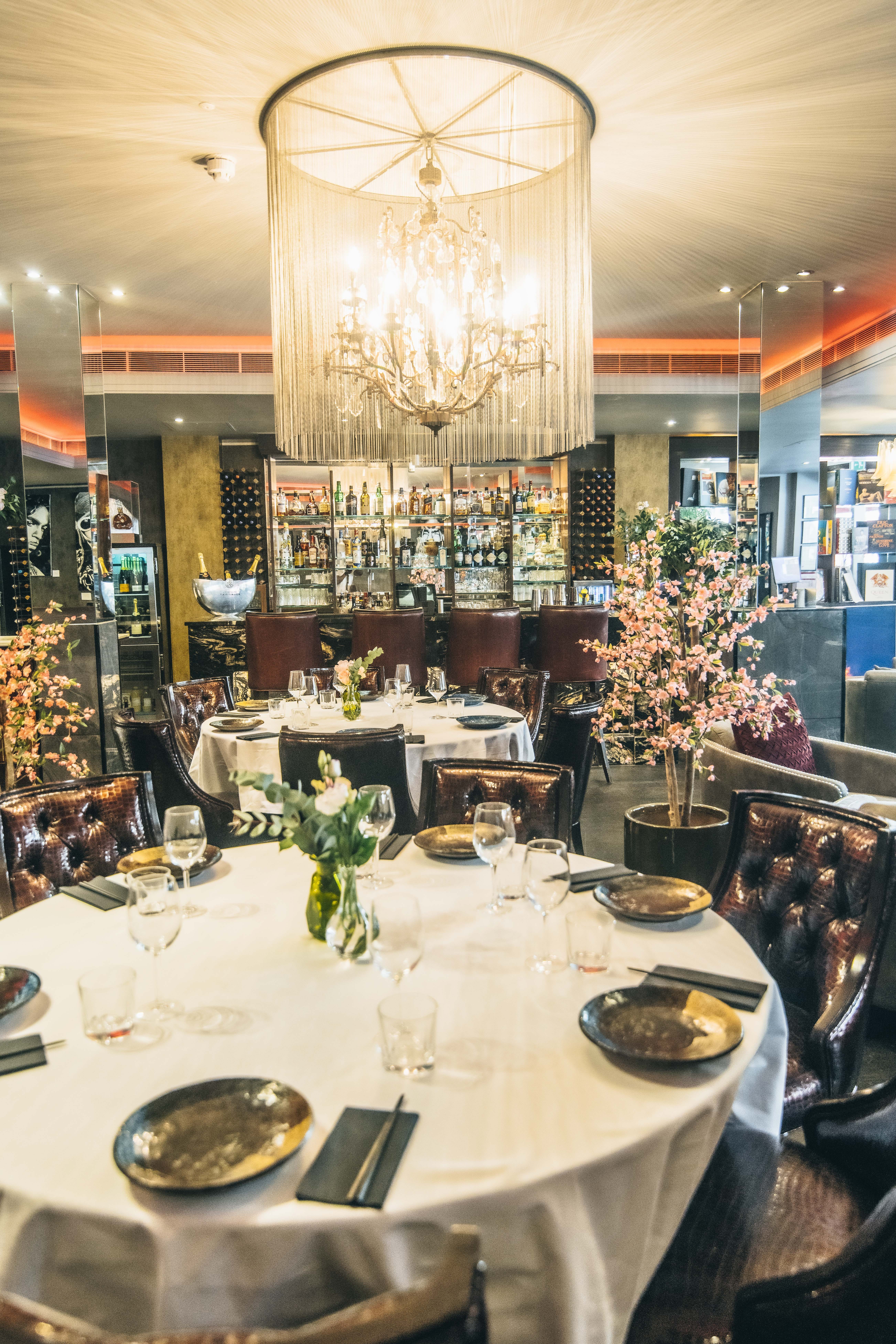 Wild Heart Bar and Grill 14