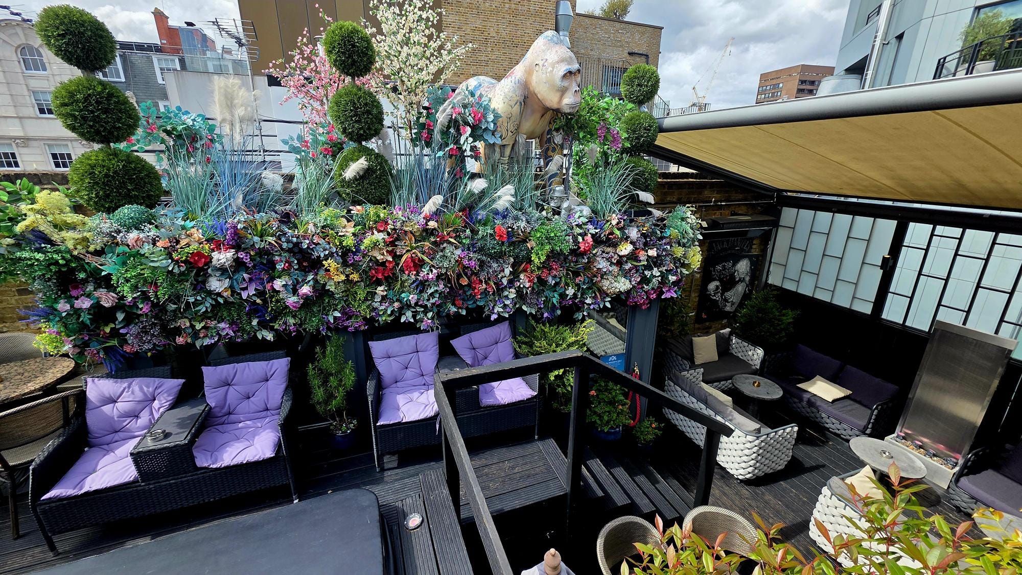 The Rooftop Terrace 5