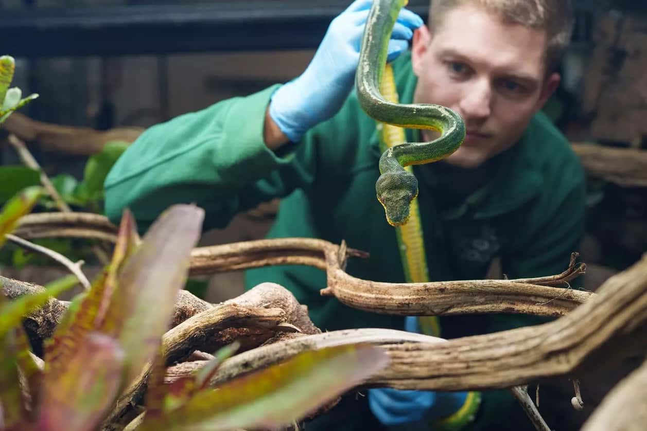 Amphibian and Reptile House 3