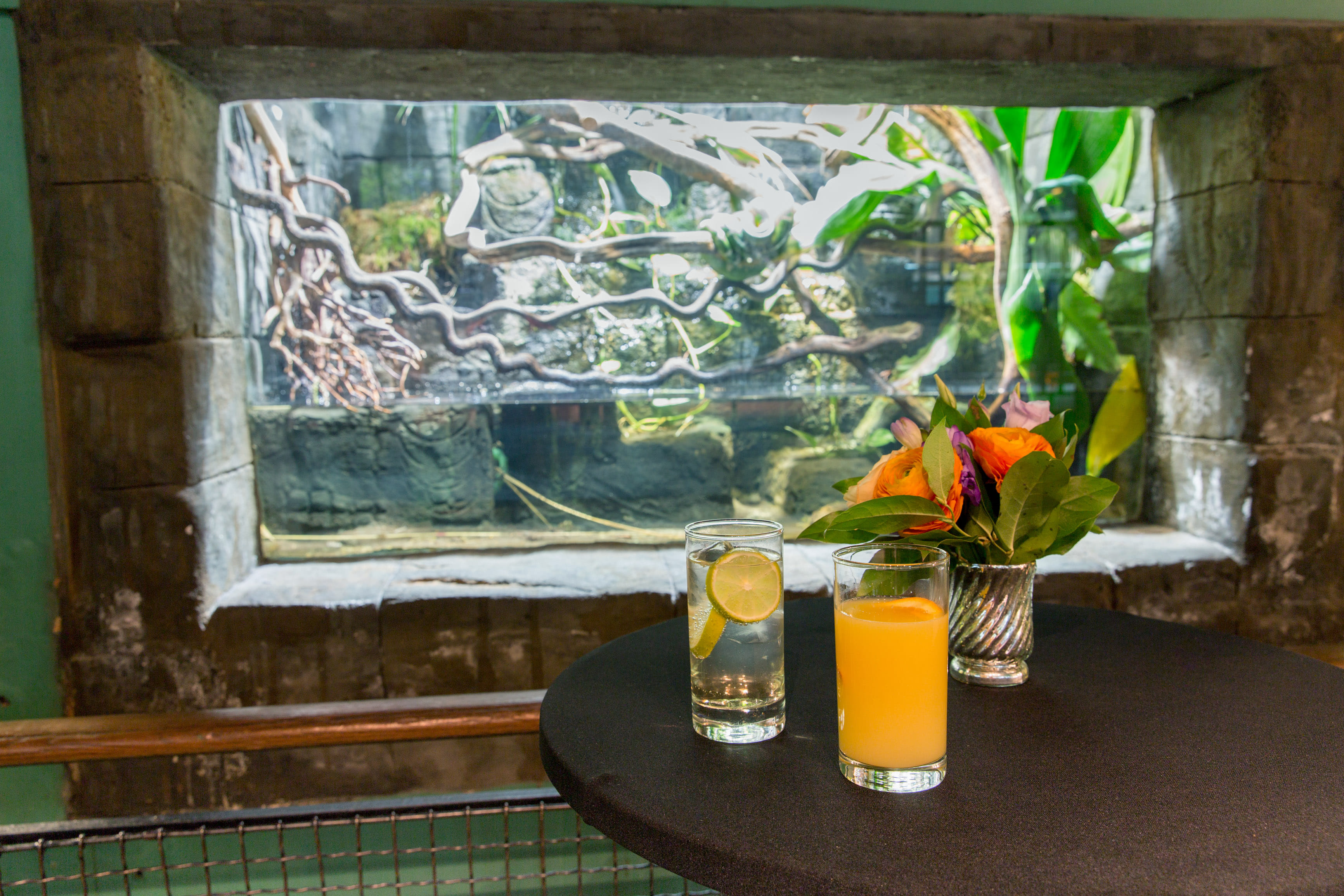 Amphibian and Reptile House 2