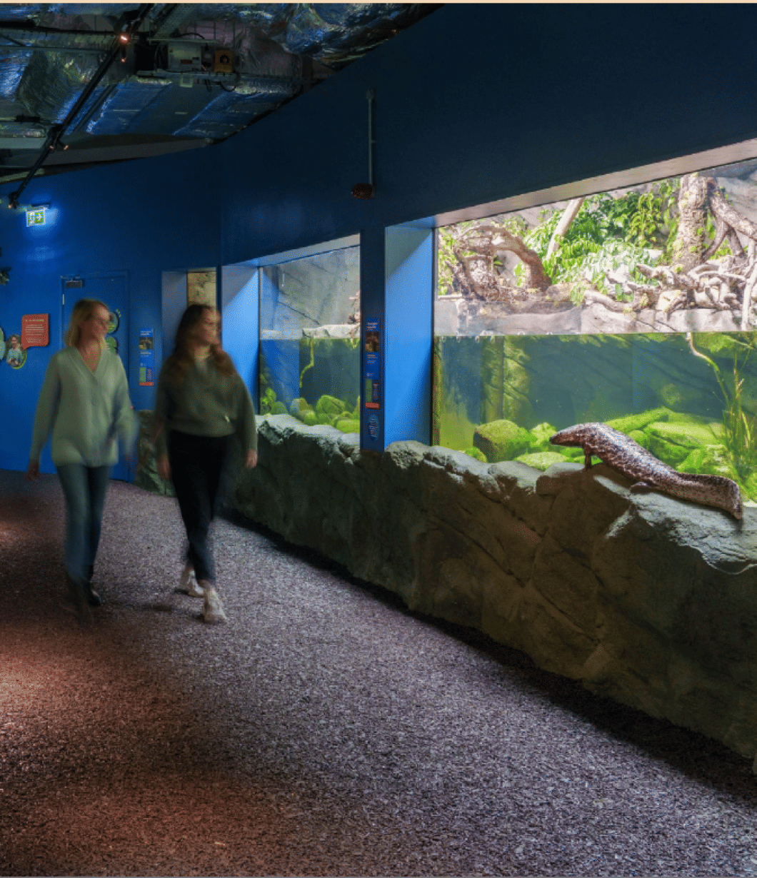 Amphibian and Reptile House 1