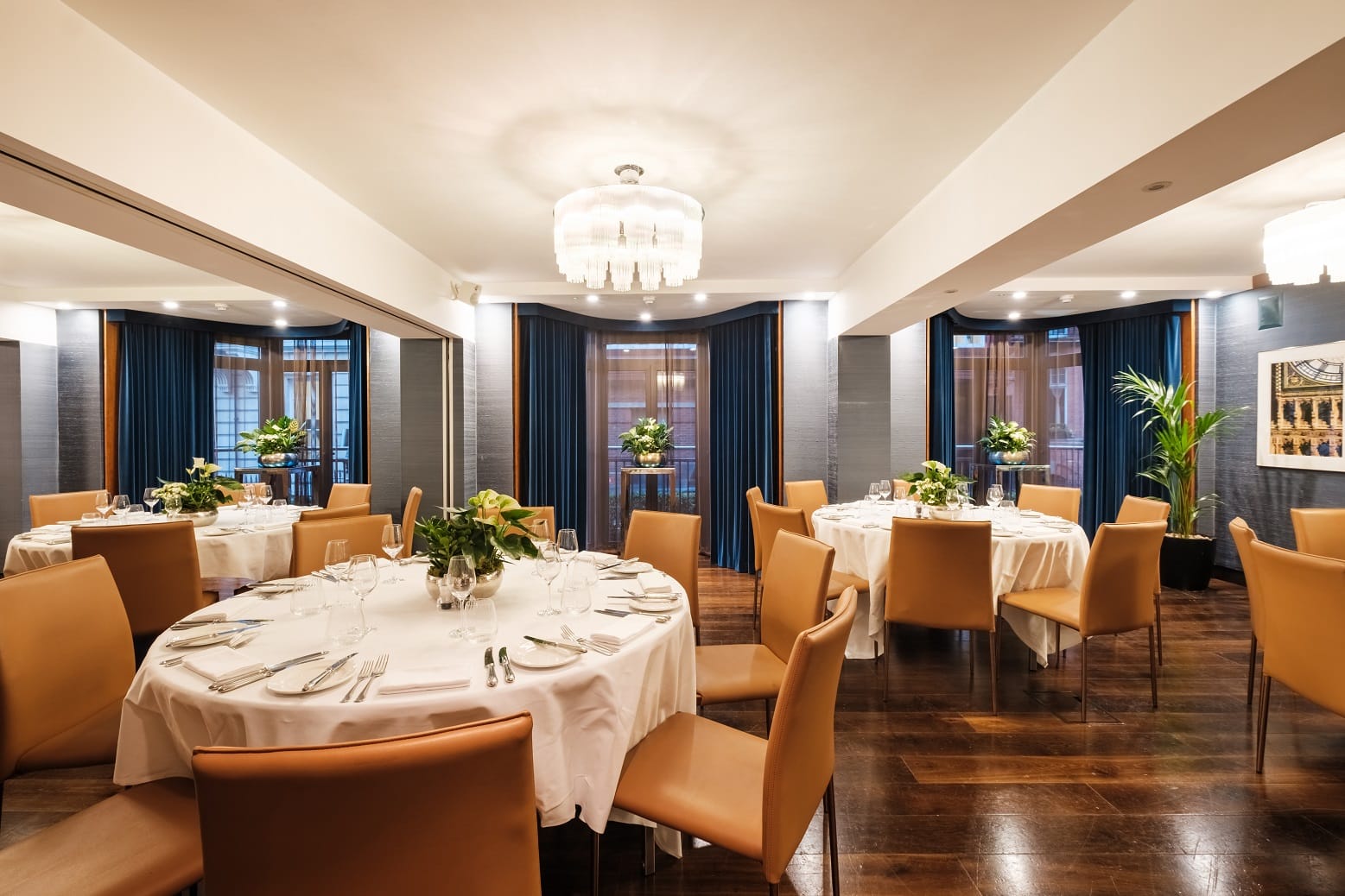 Hyde Park Suite 5