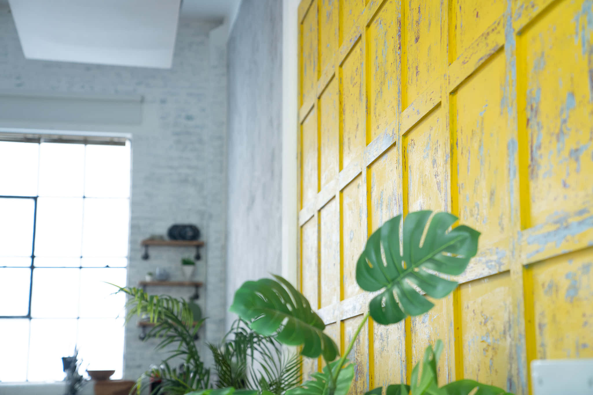 Warehouse Kitchen & Cove 16