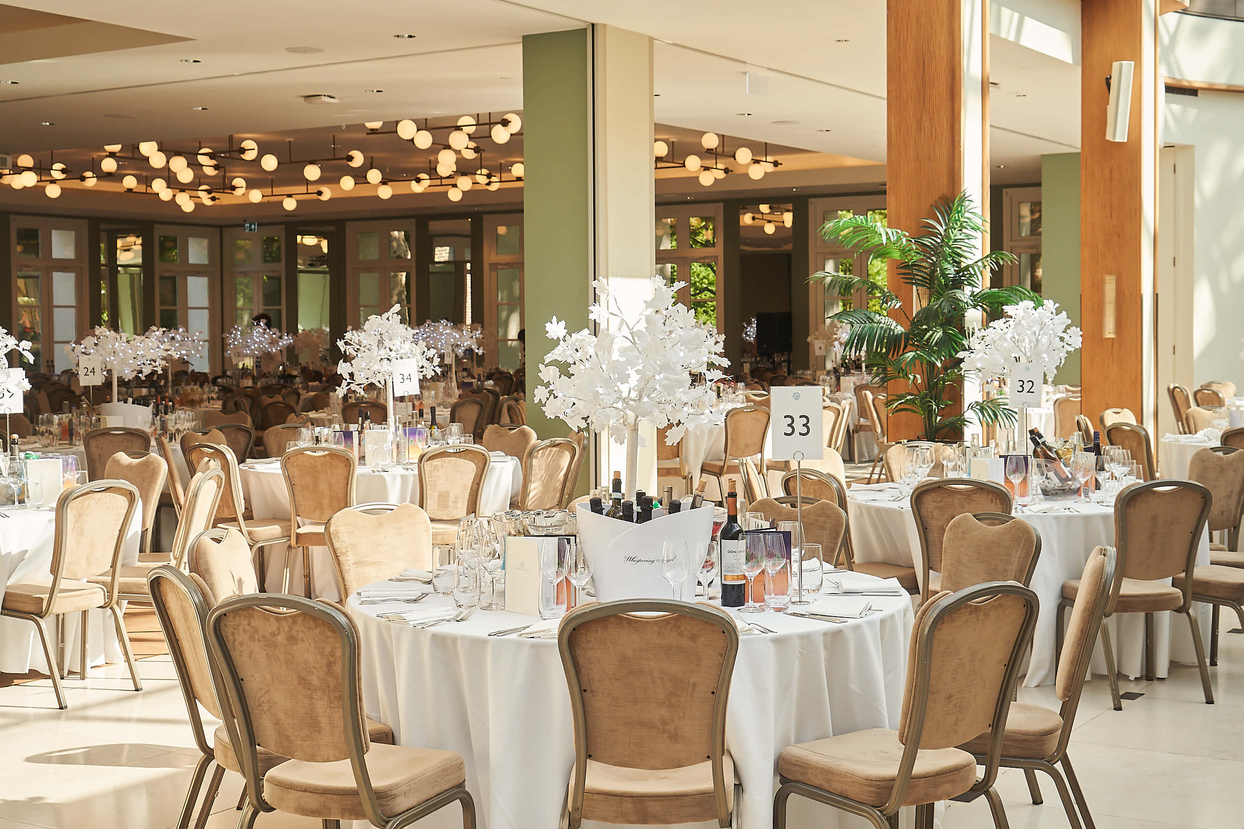 Palm Court and Broomhouse Suite 16