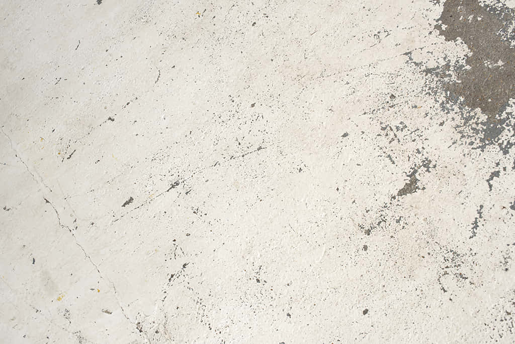 Photographic studio 15