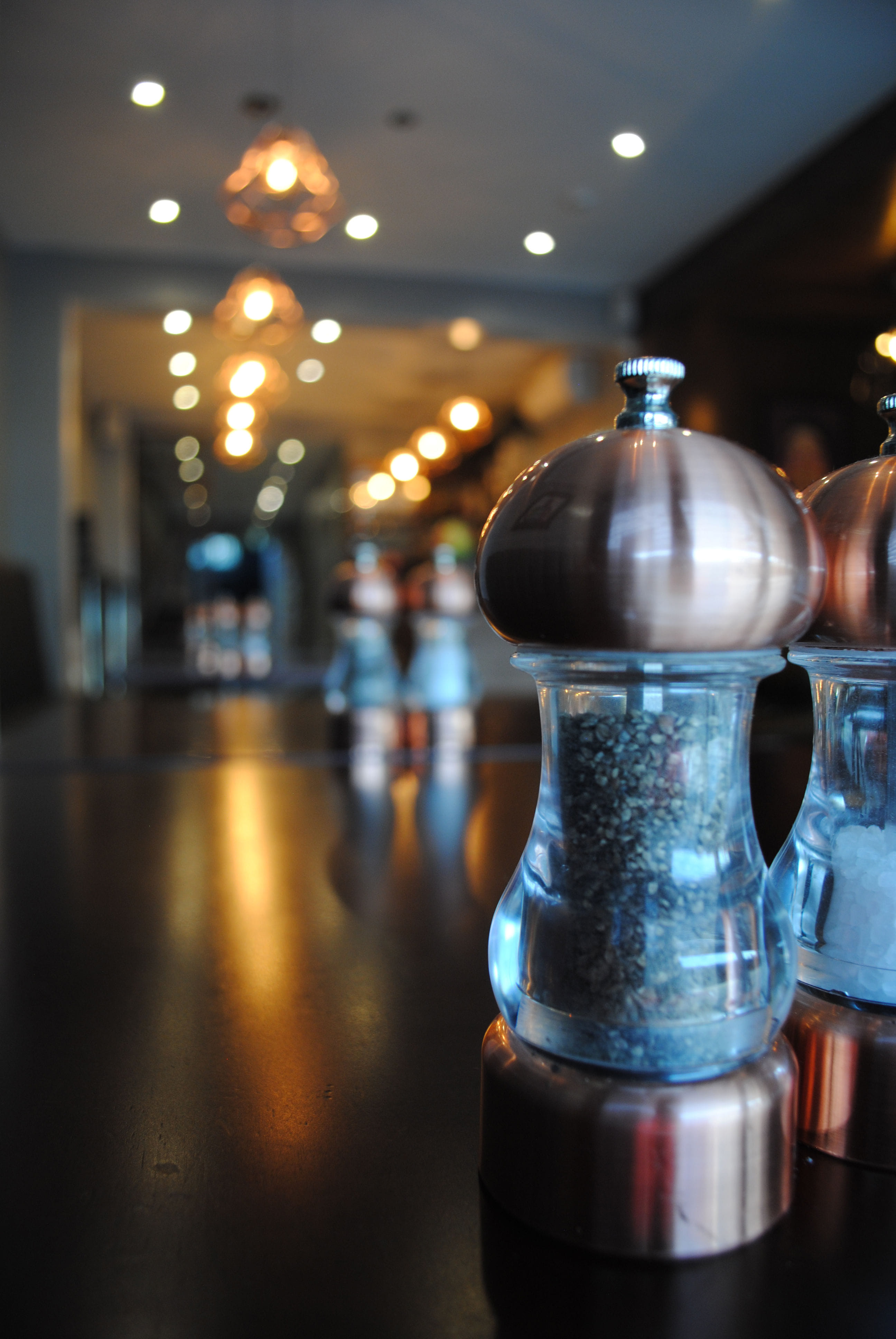 Main Area & Terrace 1