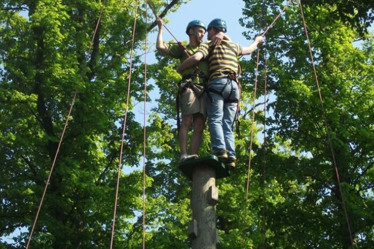 Grahame Robb Associates 5