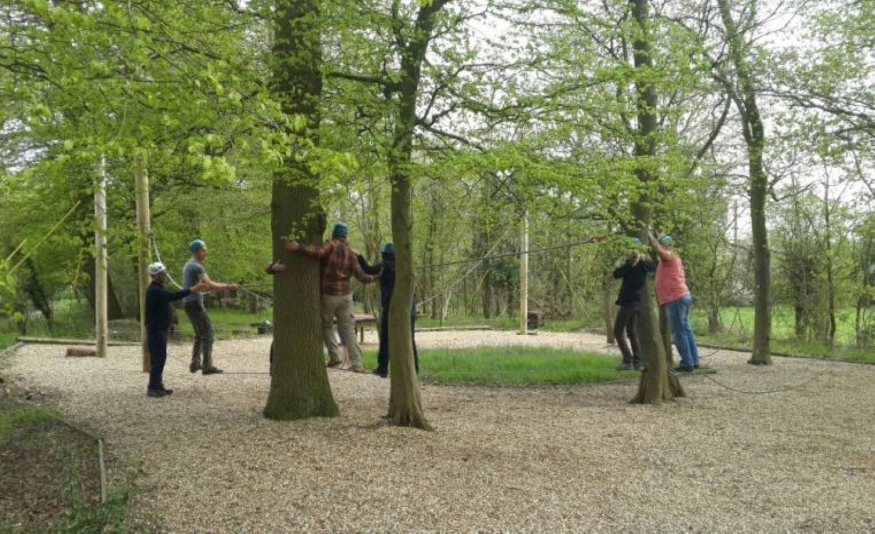 Grahame Robb Associates 6