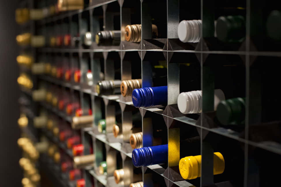 Lunch Sitting, Wine Room 0