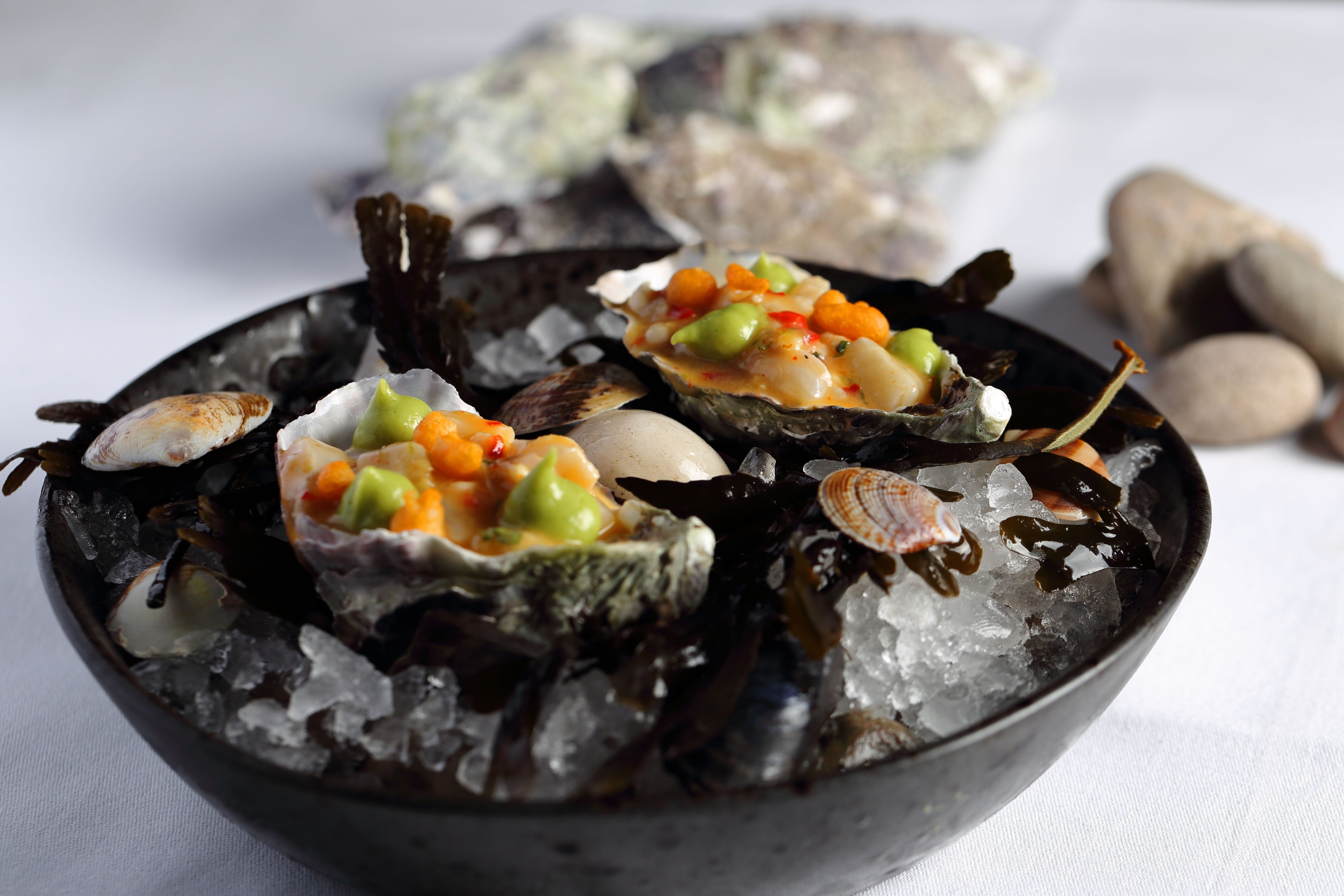 Lunch Sitting, Berkeley Room 4