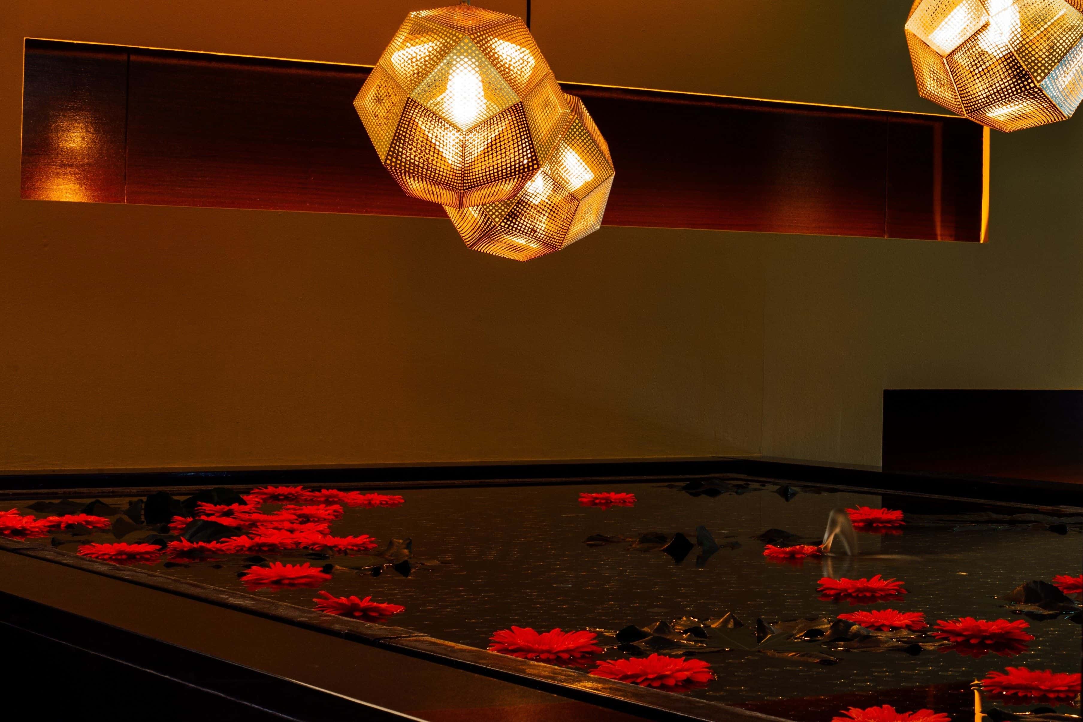 Dinner Sitting, Whole Venue Hire 12