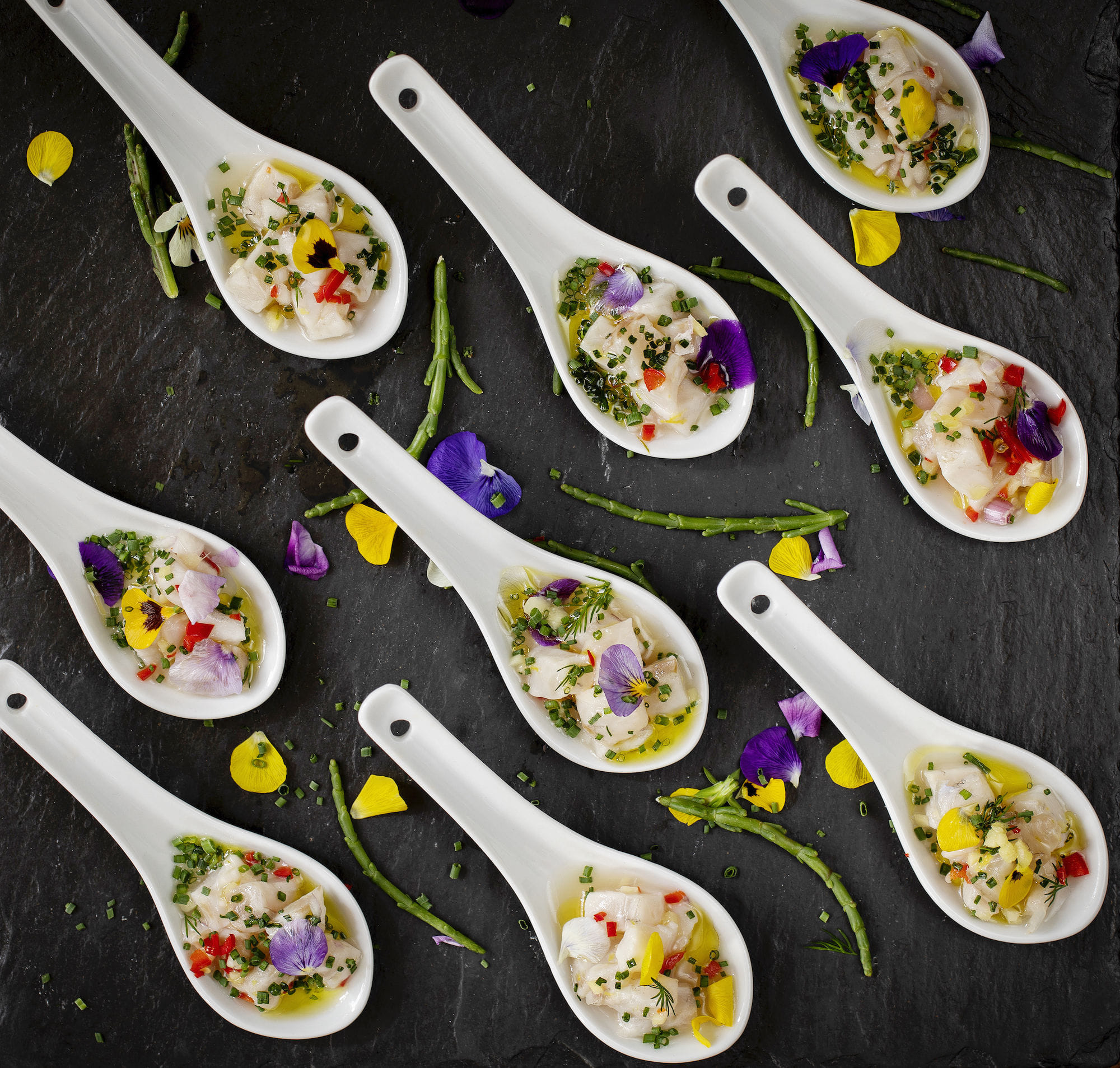 Le Petit Solon Privé 3