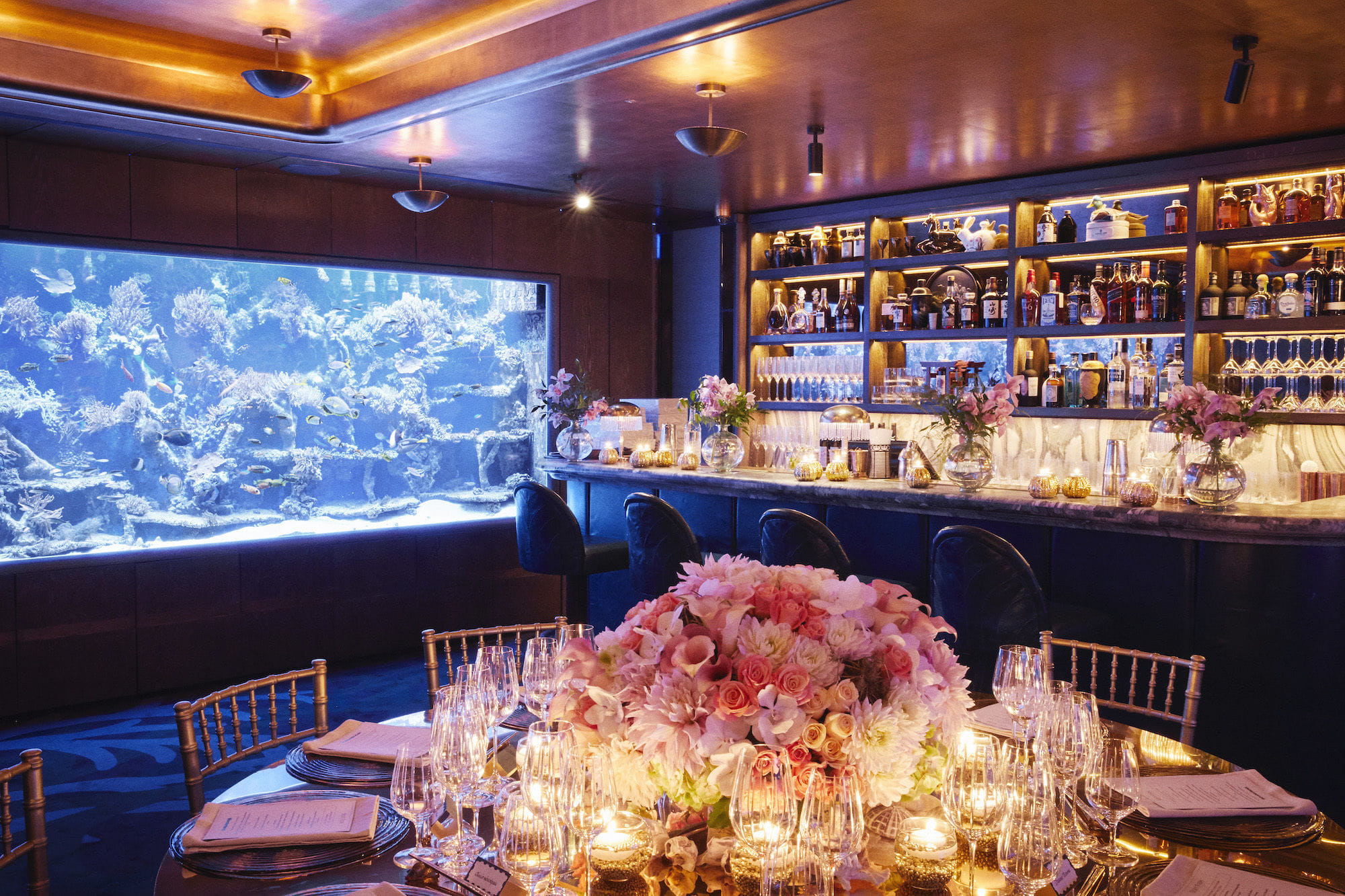 The Coral Reef Room 1