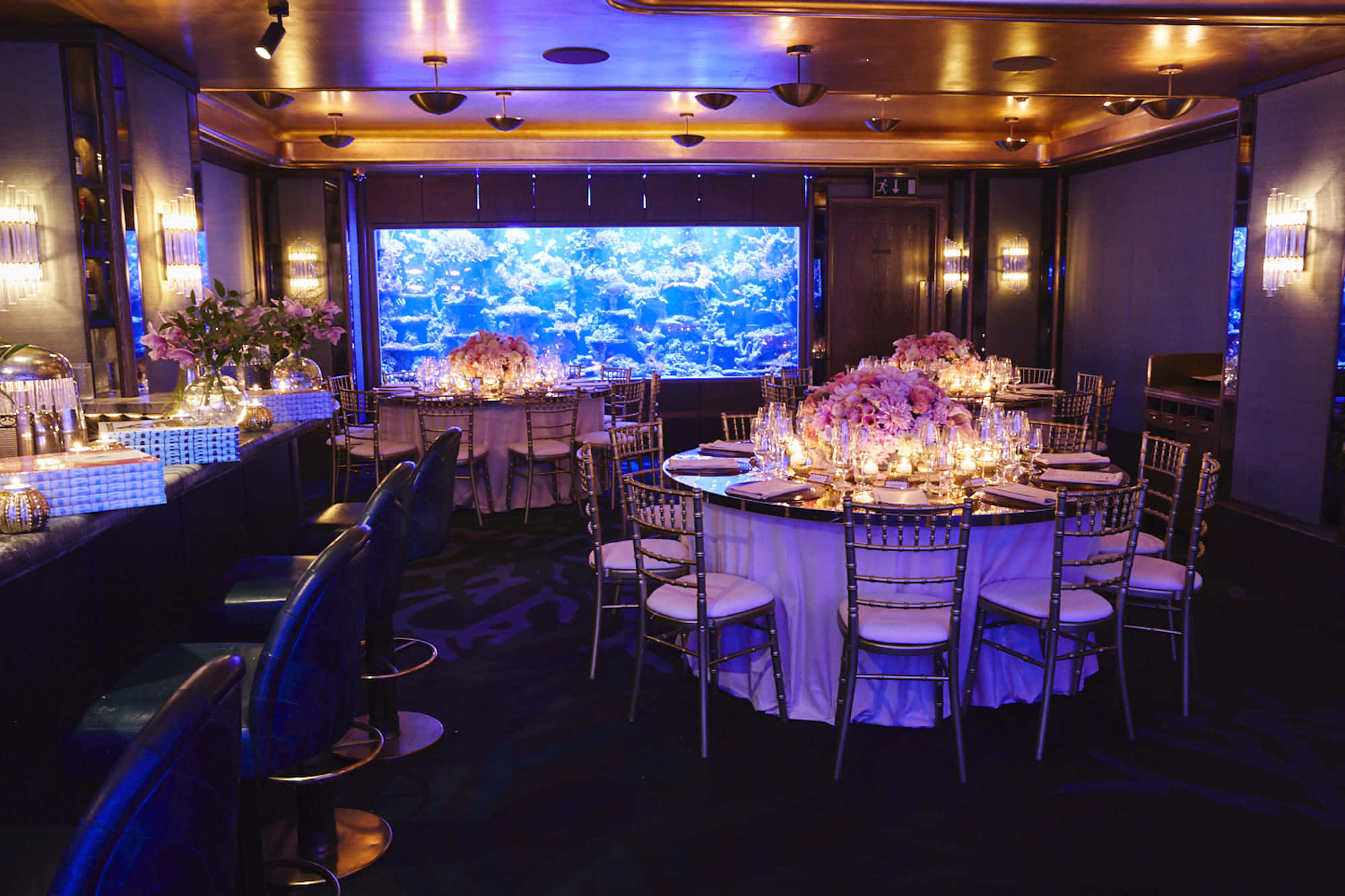 The Coral Reef Room 2