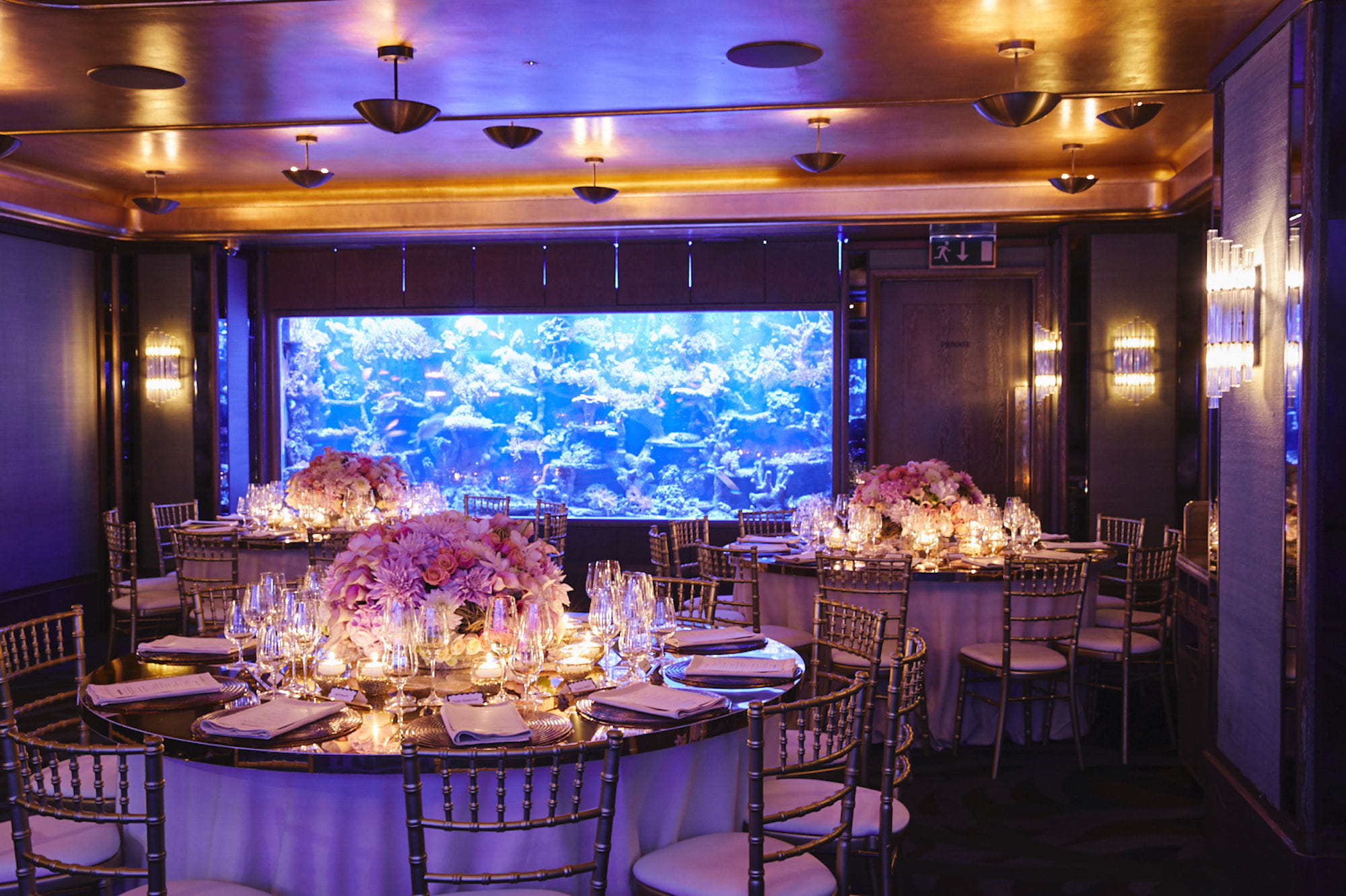 The Coral Reef Room 4