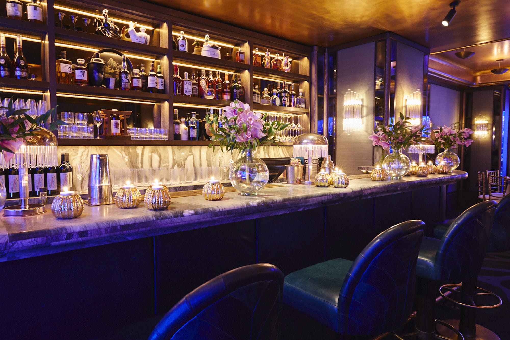 The Coral Reef Room 5