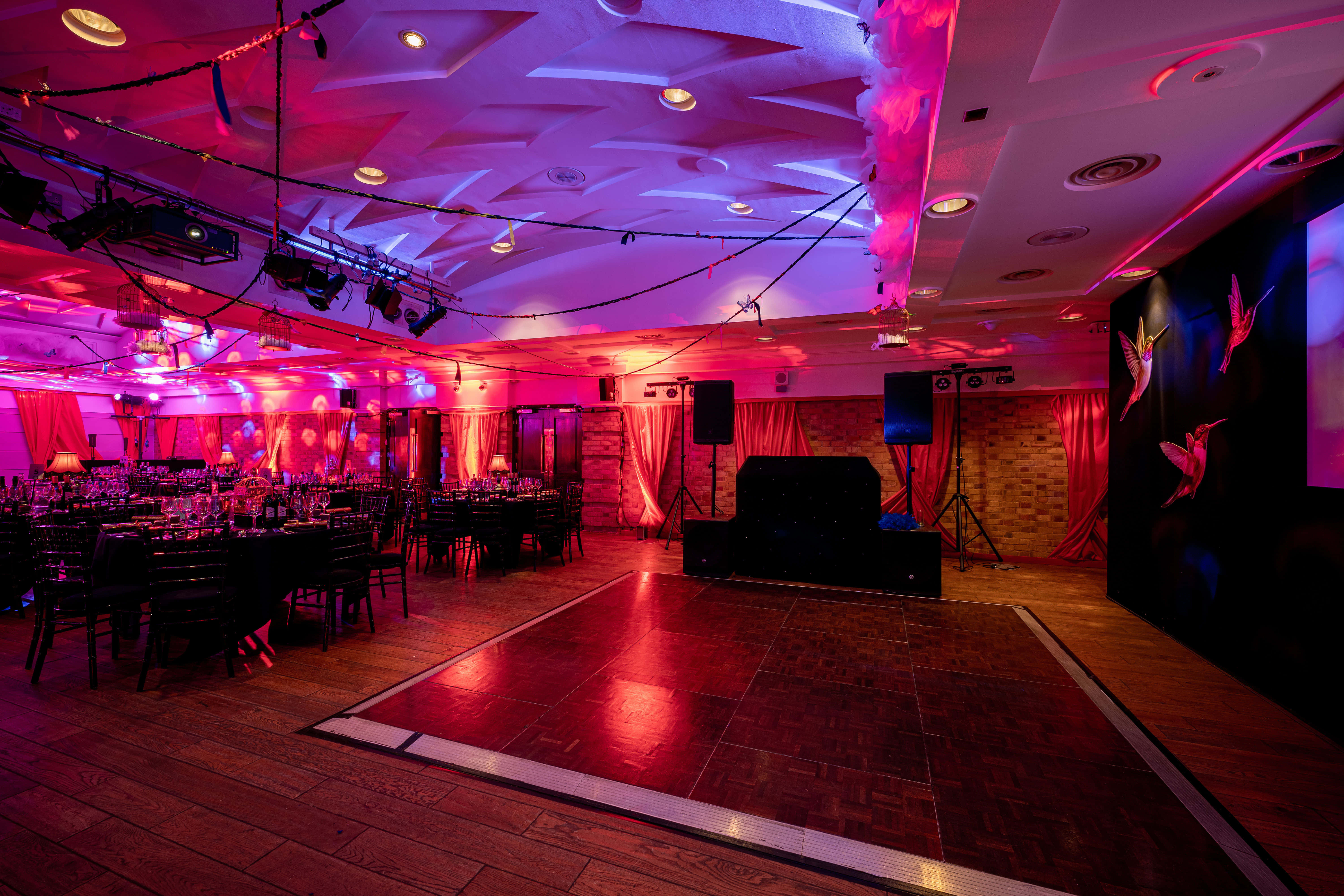 The Queen Charlotte 8