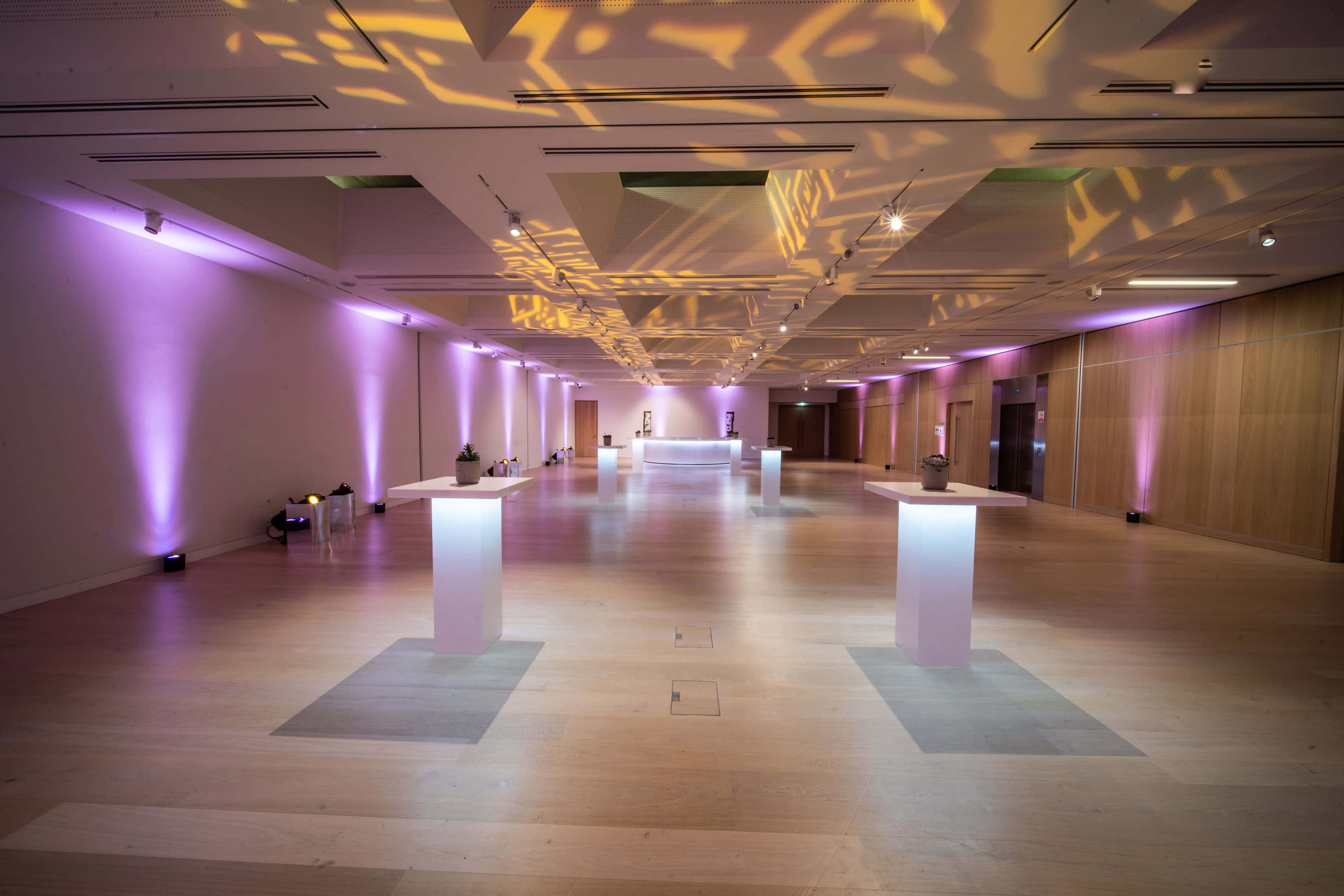 Helene & Johannes Huth Gallery 1