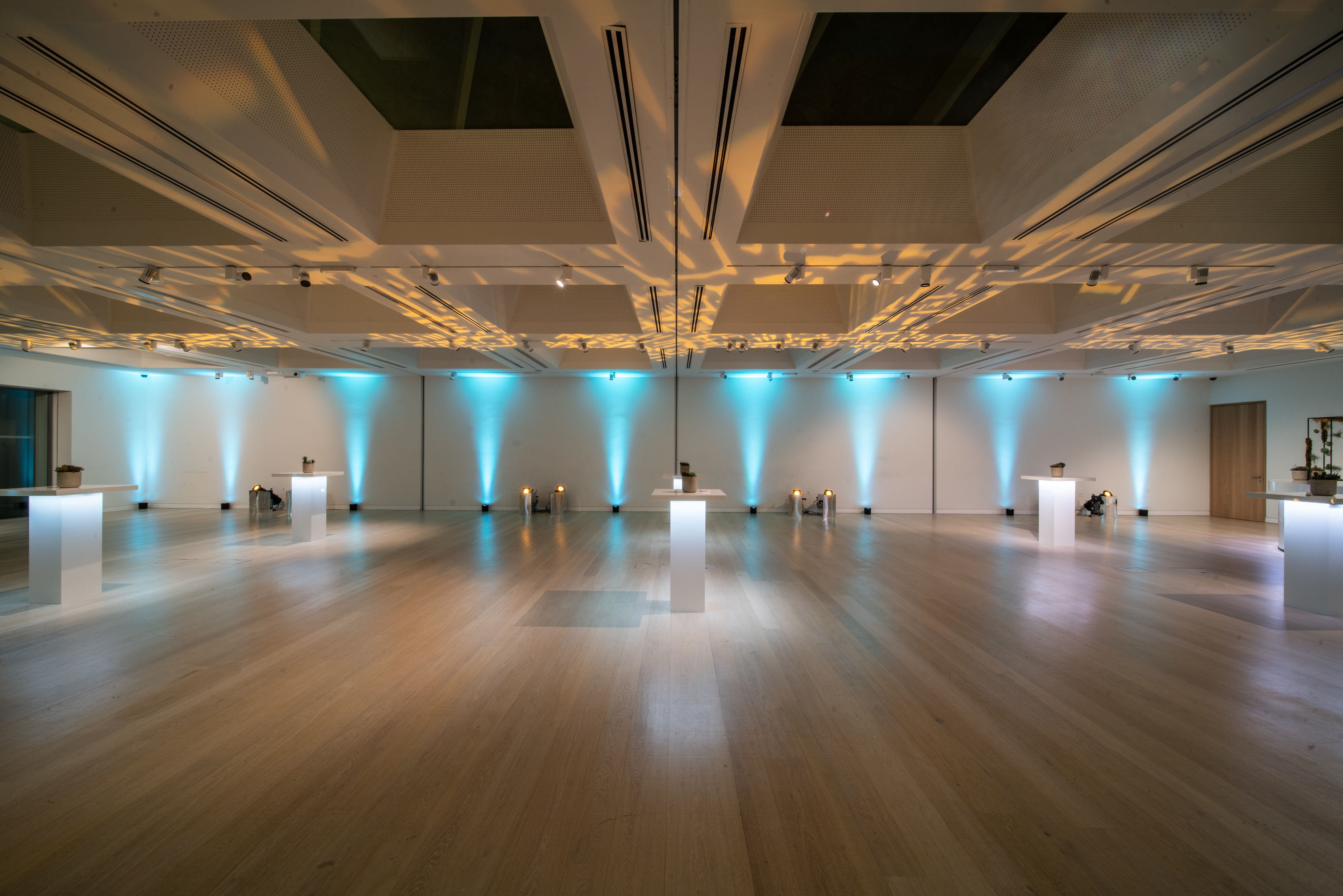 Helene & Johannes Huth Gallery 2