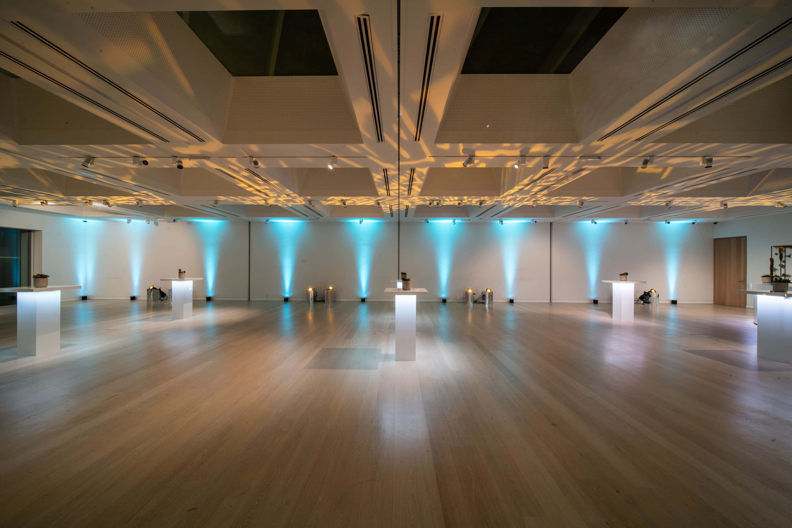 Helene & Johannes Huth Gallery 2