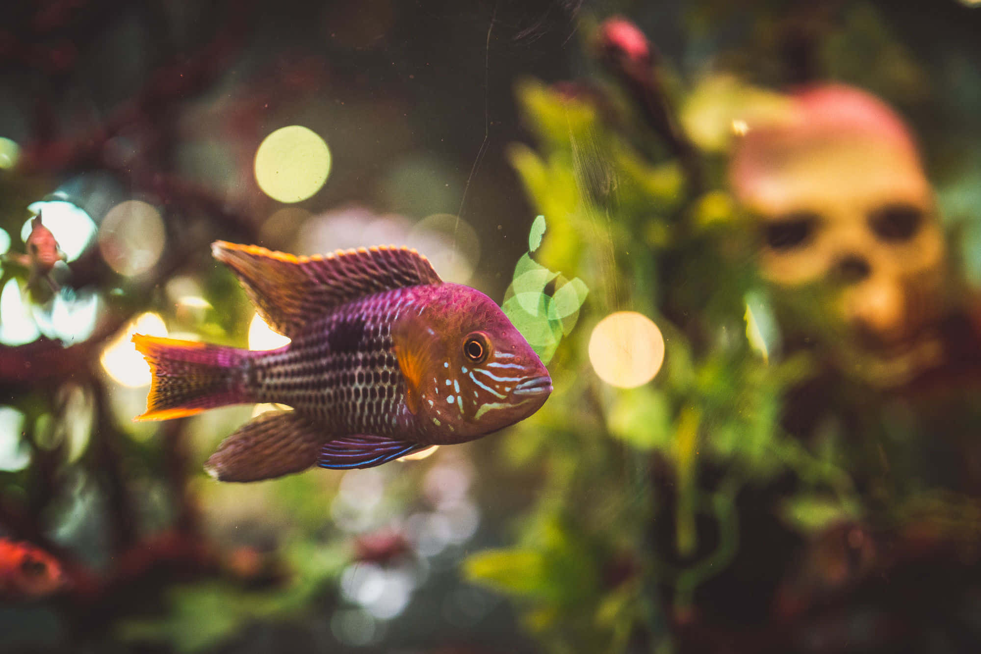 Exclusive Venue Hire 15