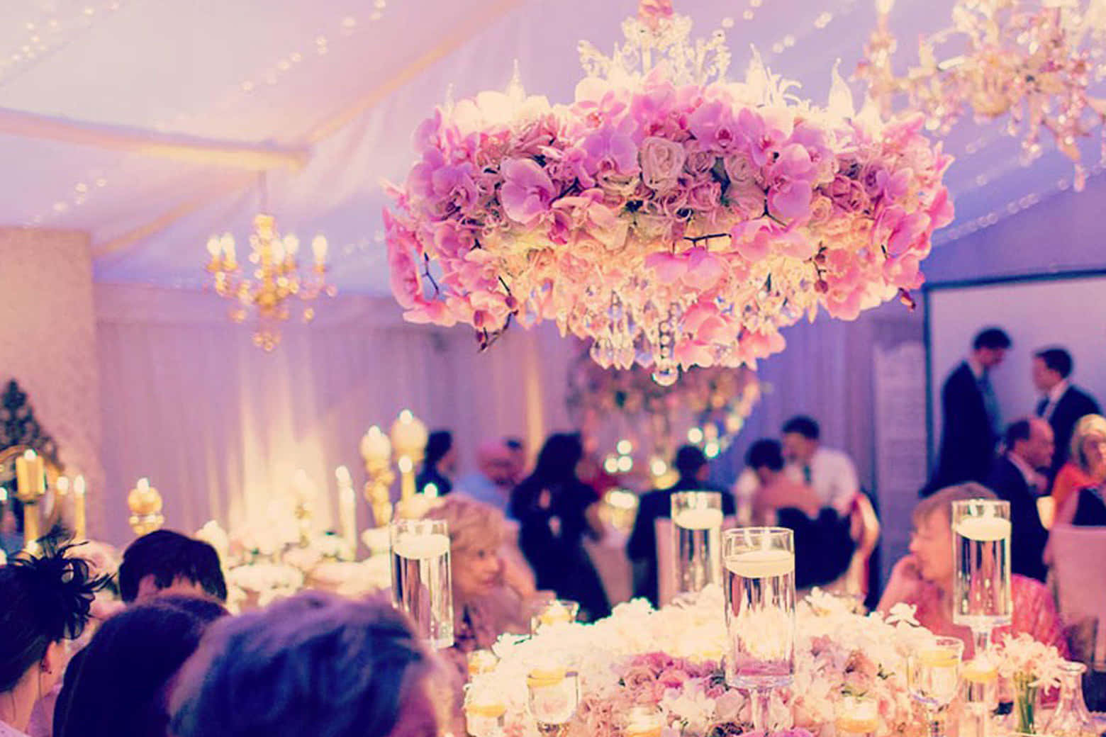 Iscoyd Park and Gardens 17