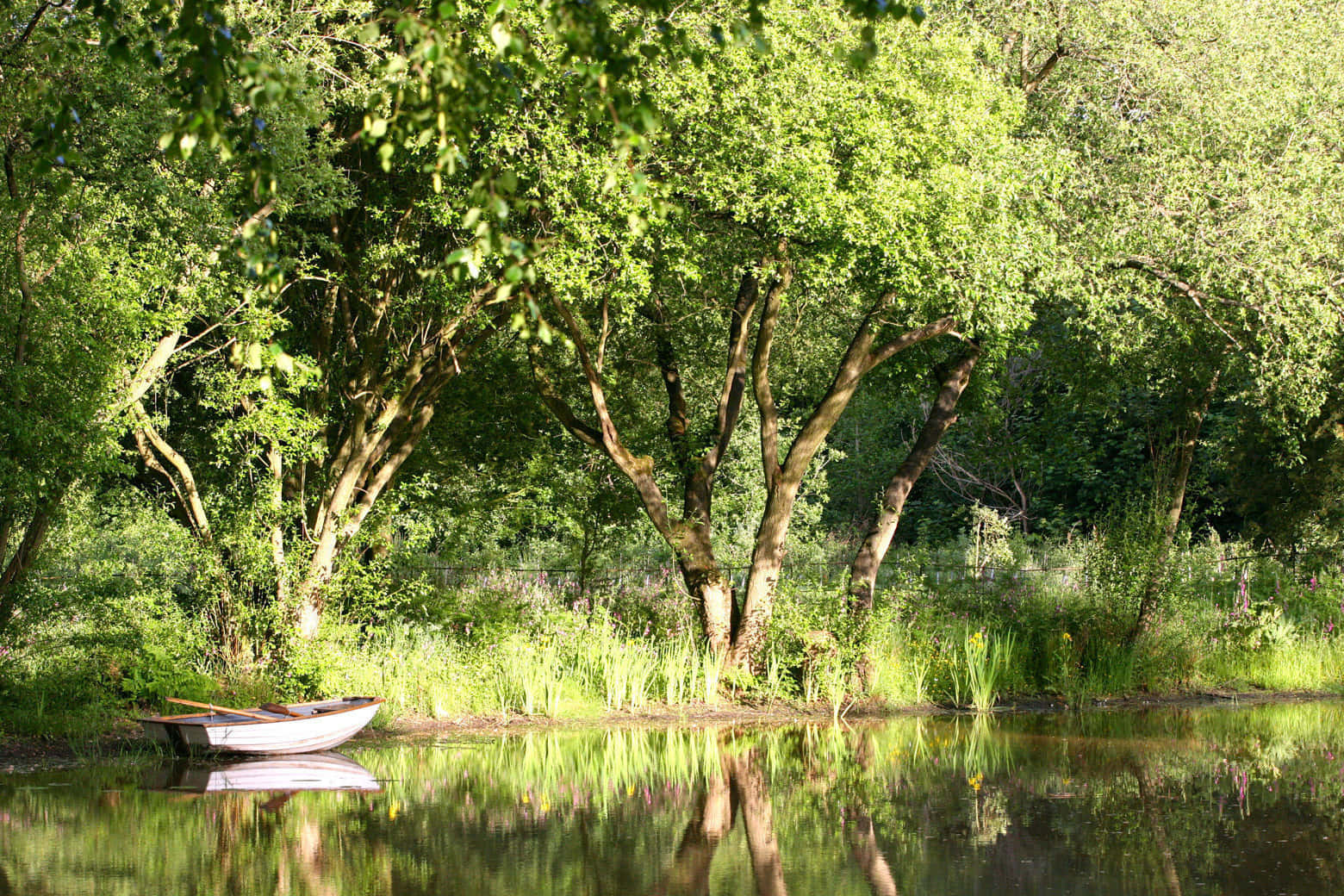 Iscoyd Park and Gardens 21