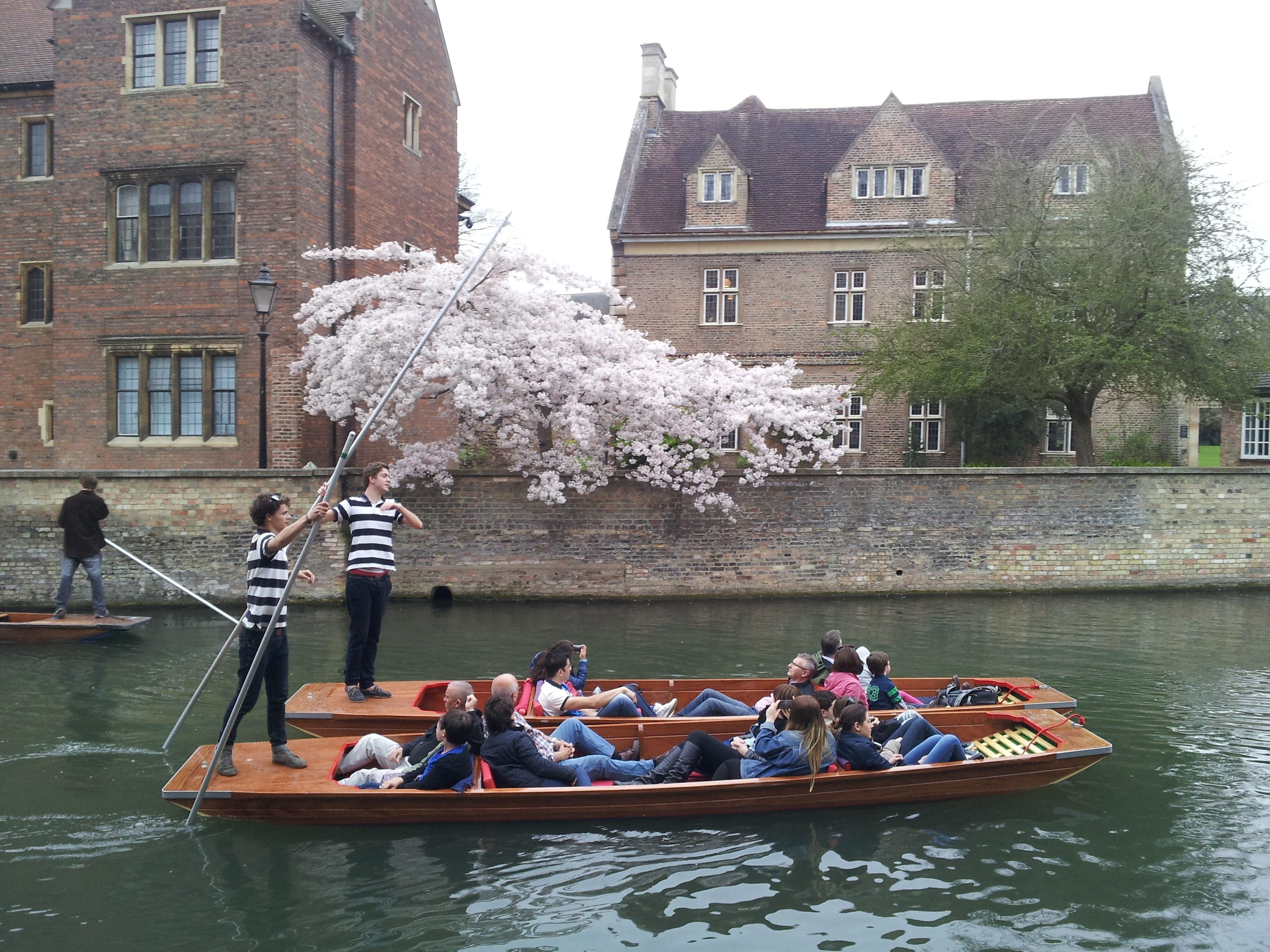 Punting In Cambridge 6