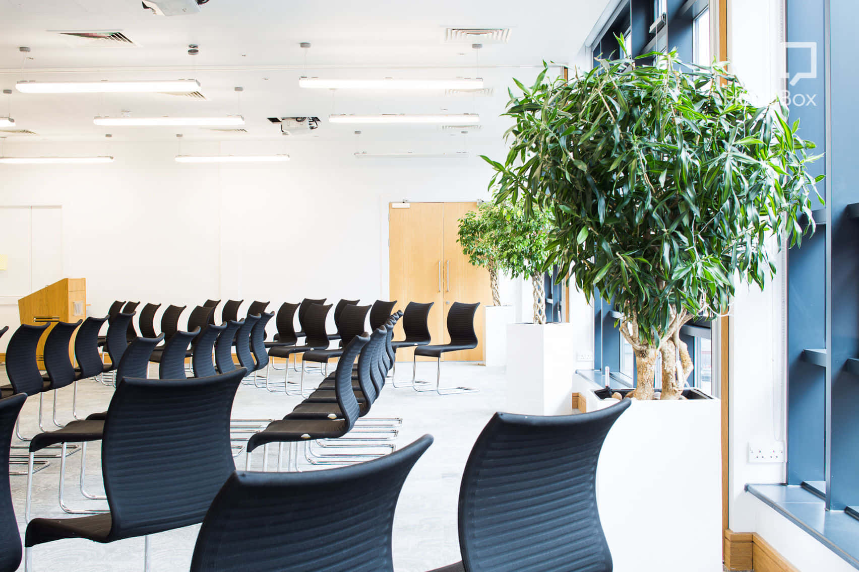 Roddick Rooms (3) 12