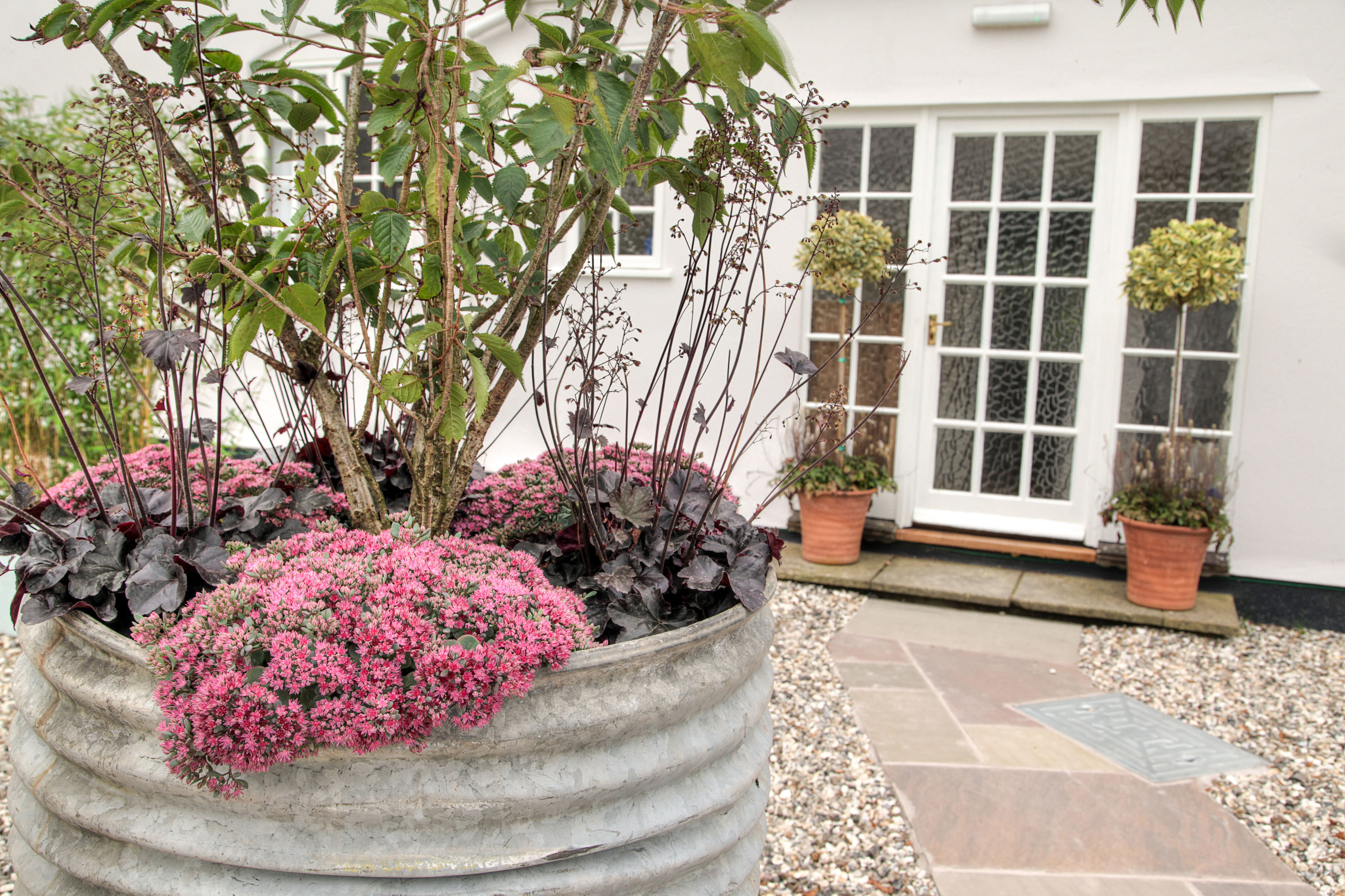 Conference Garden Suite  3