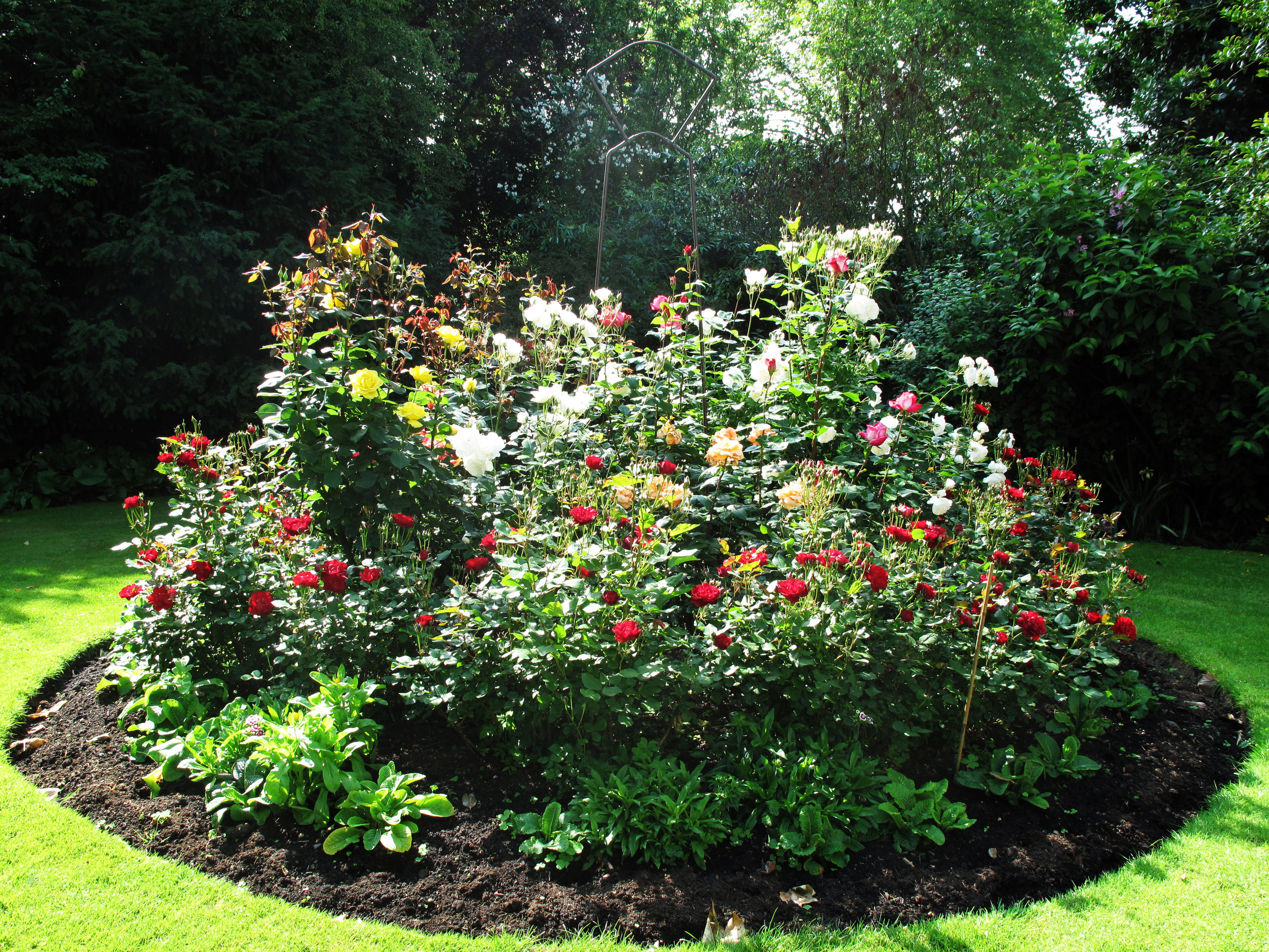 Freud Museum London 4