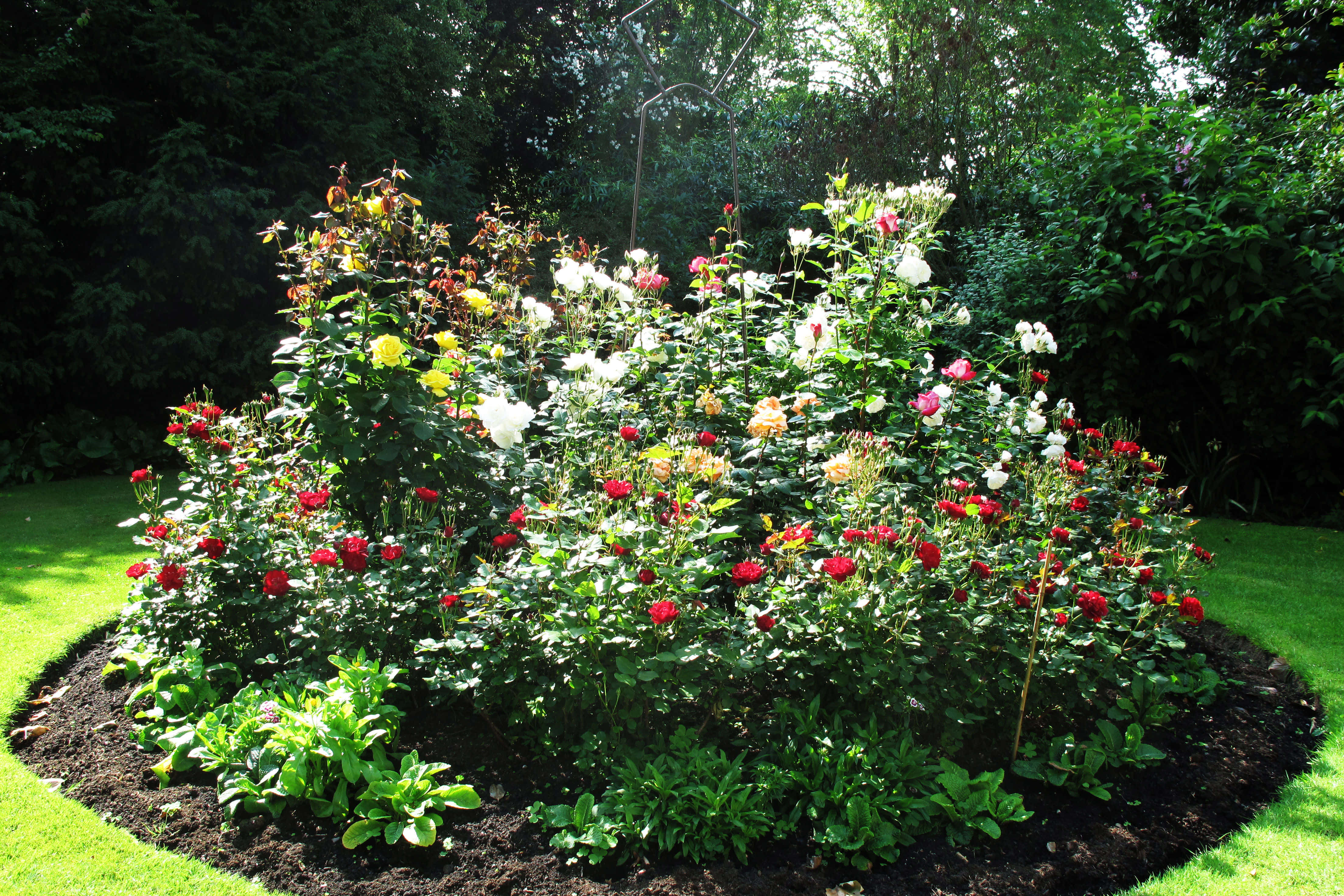 Freud Museum London 4