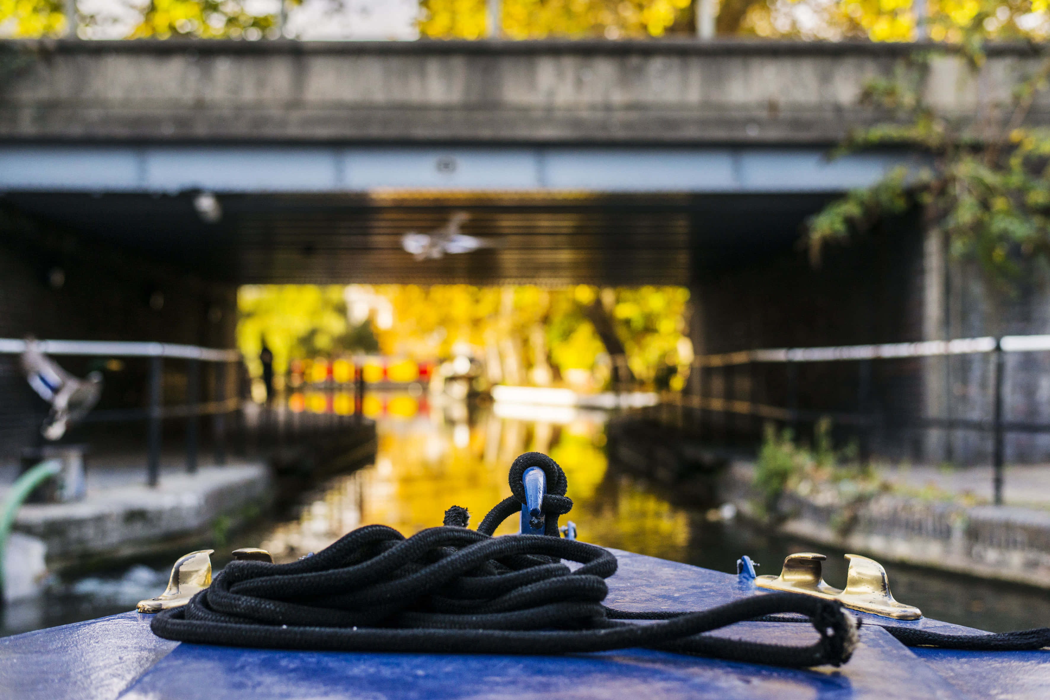 Seafood Restaurant on A Boat 9