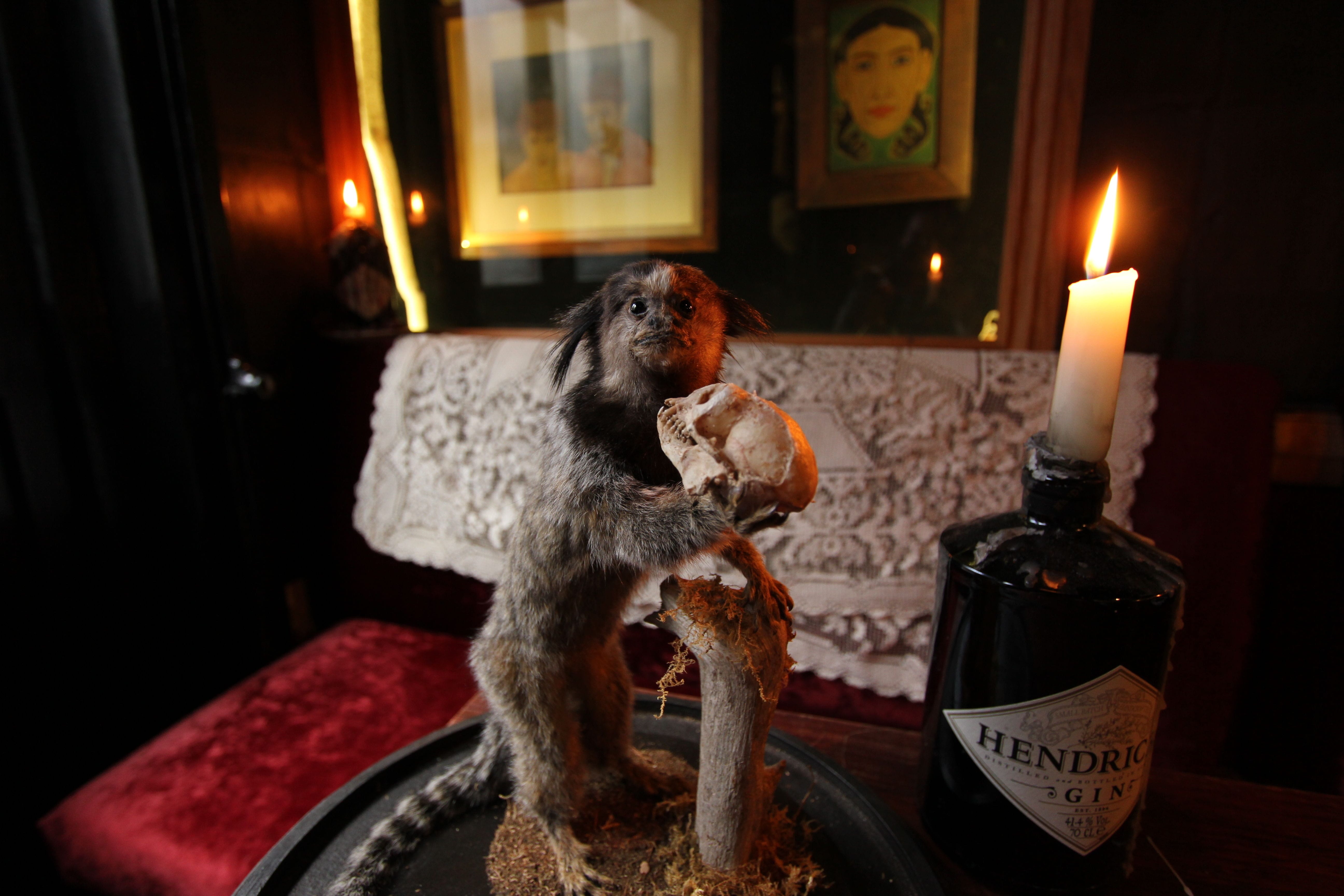 East London's Most Curious Cocktail Bar 6