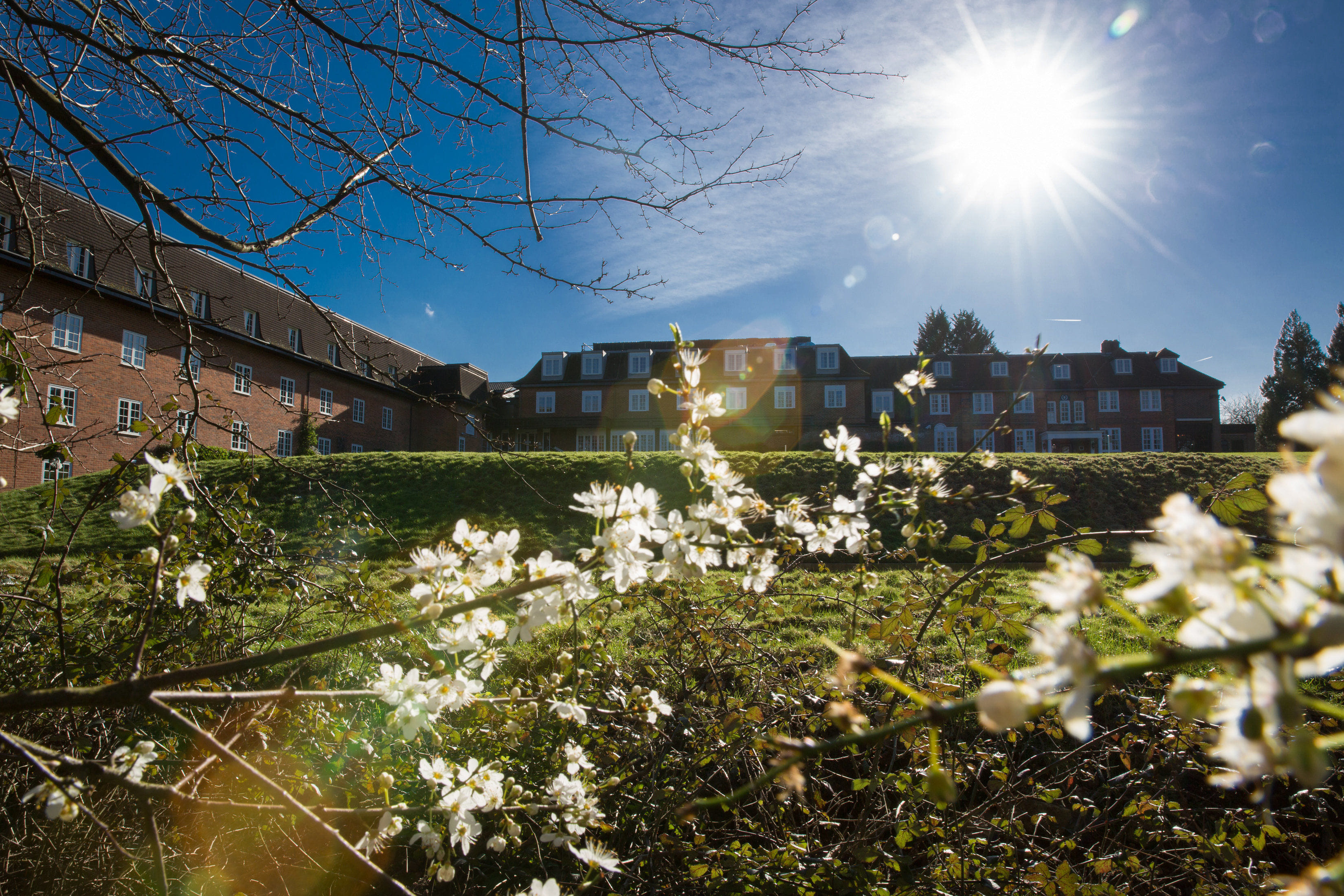 The Charlton Suite 4