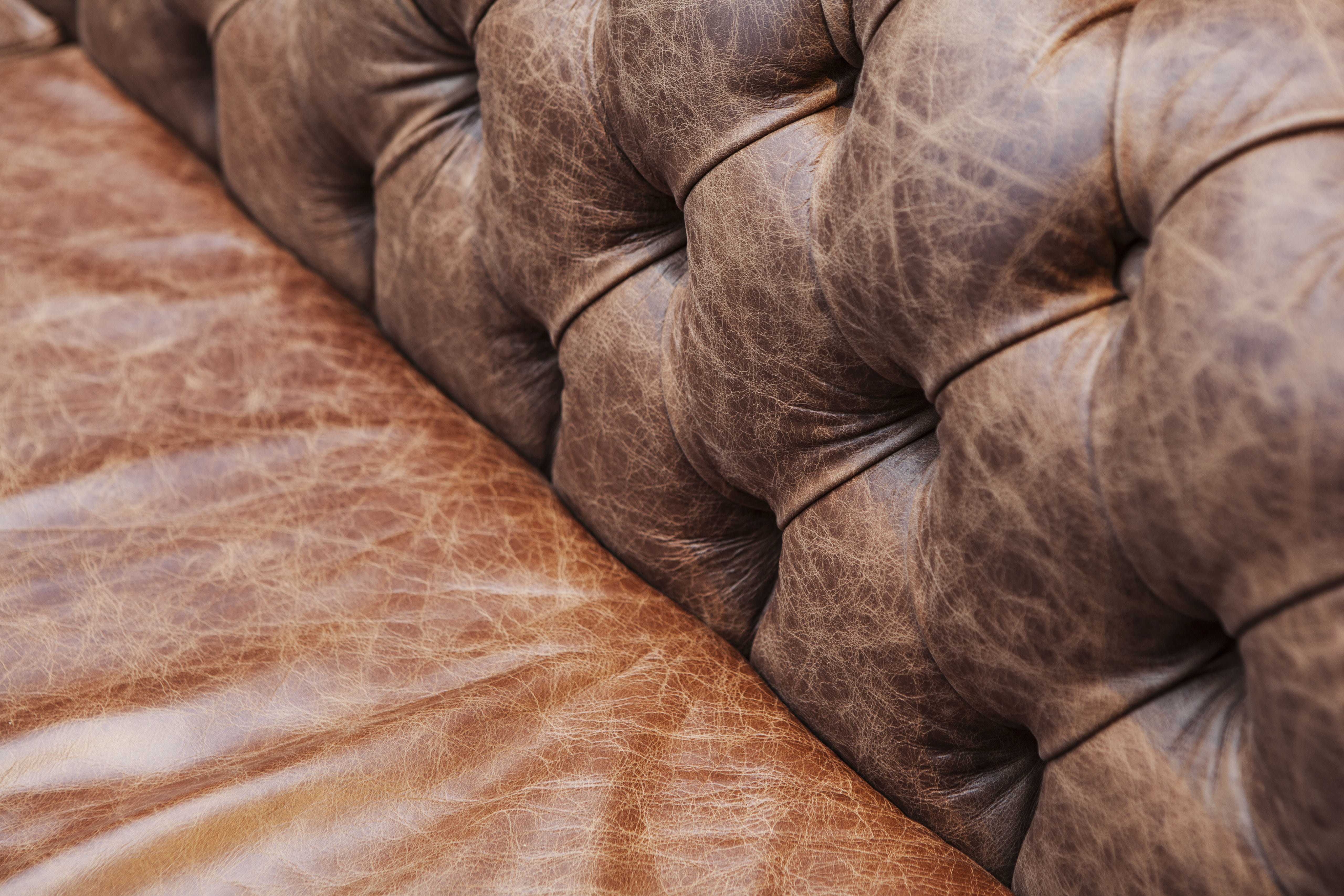 Exclusive Hire of the restaurant and garden 7