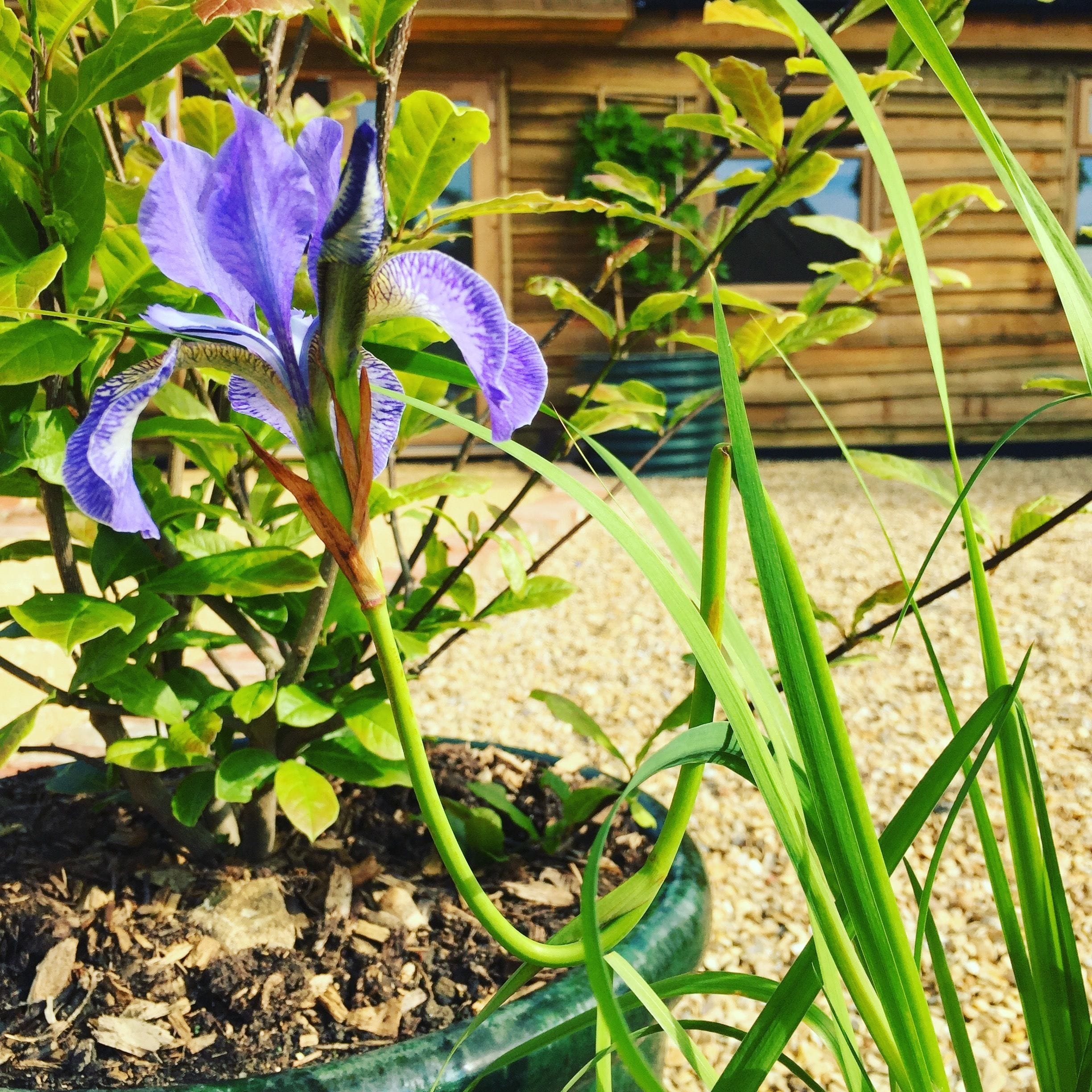 The Peaceful, Relaxing, Inspirational Barn 7