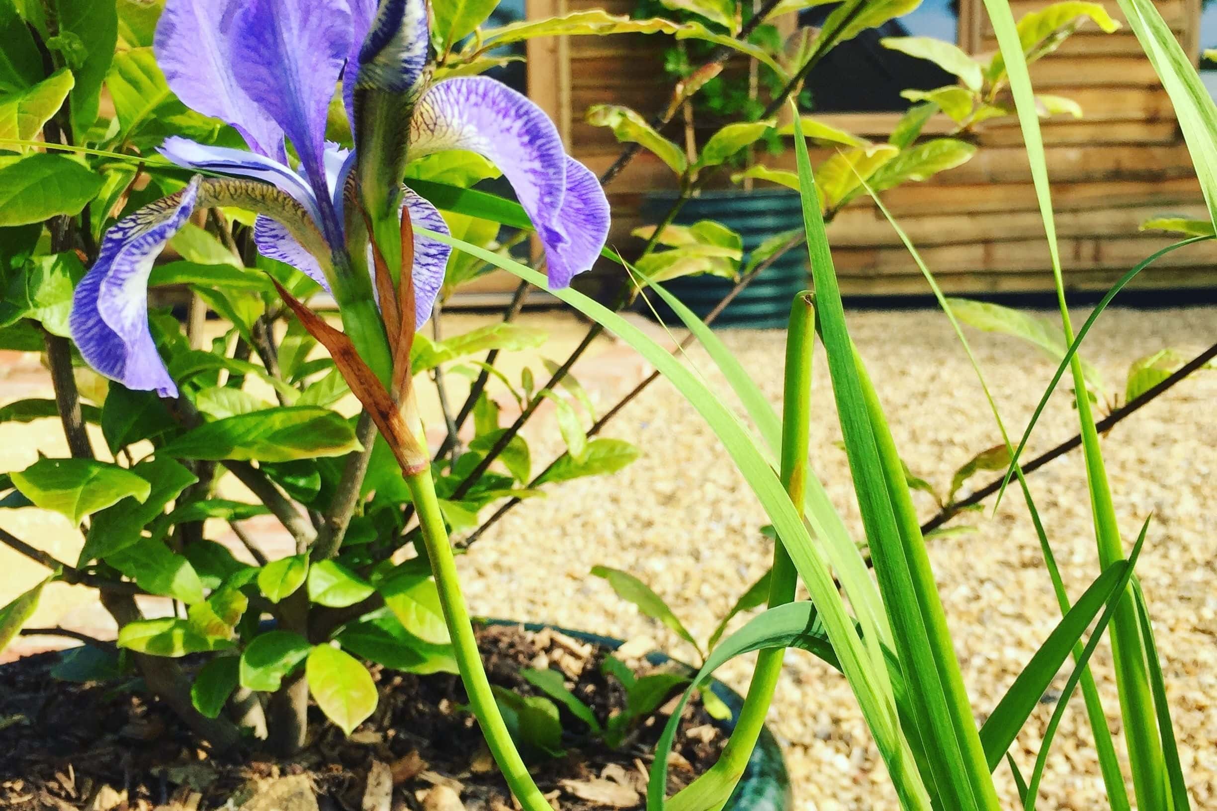 The Peaceful, Relaxing, Inspirational Barn 7