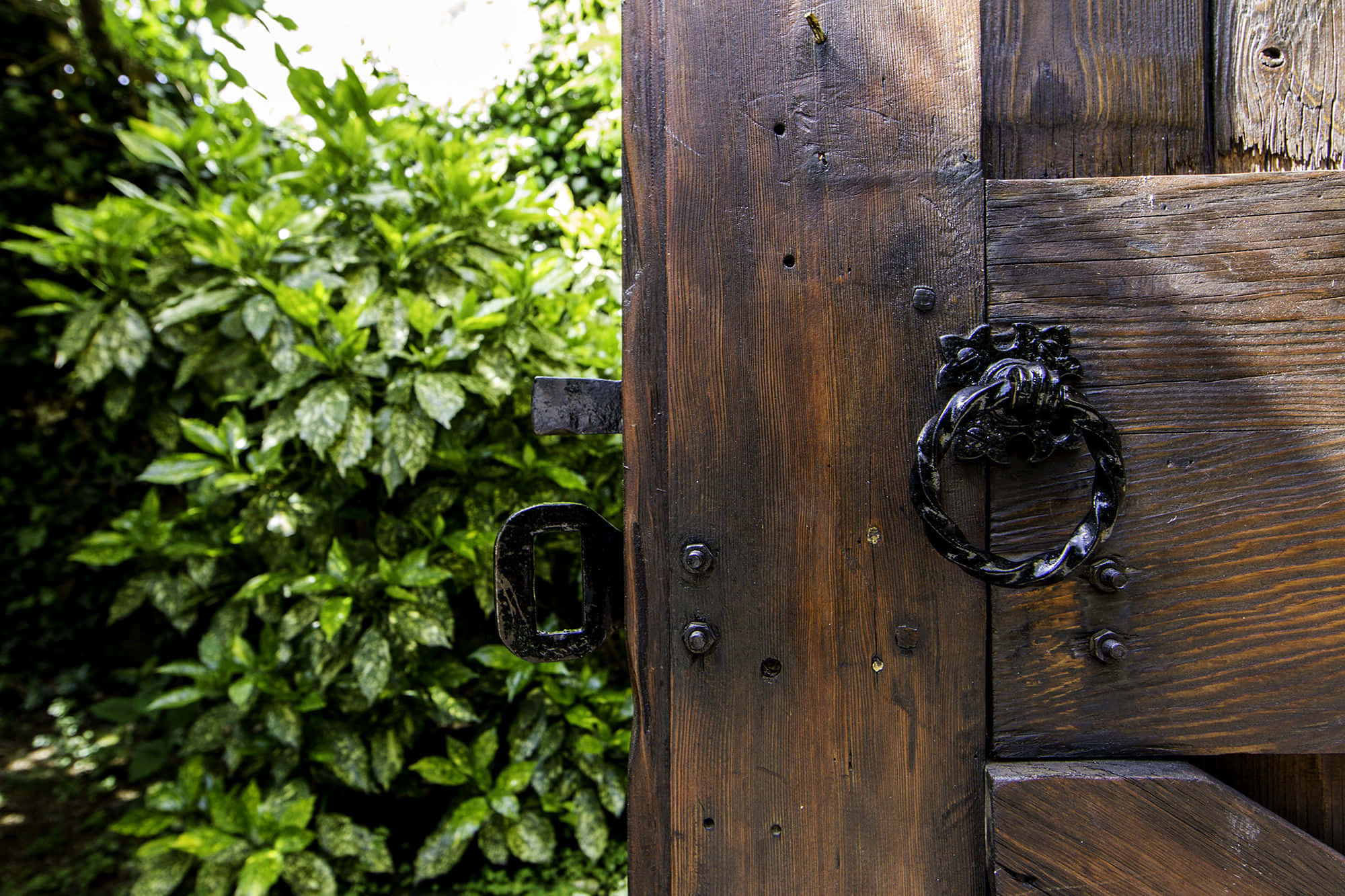 The Arena (Studio 1) 7