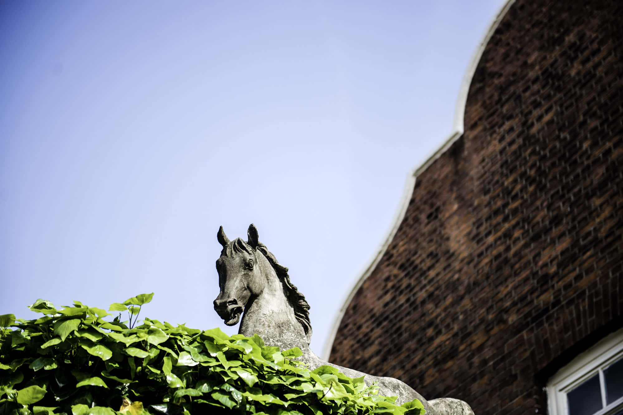 The Arena (Studio 1) 9