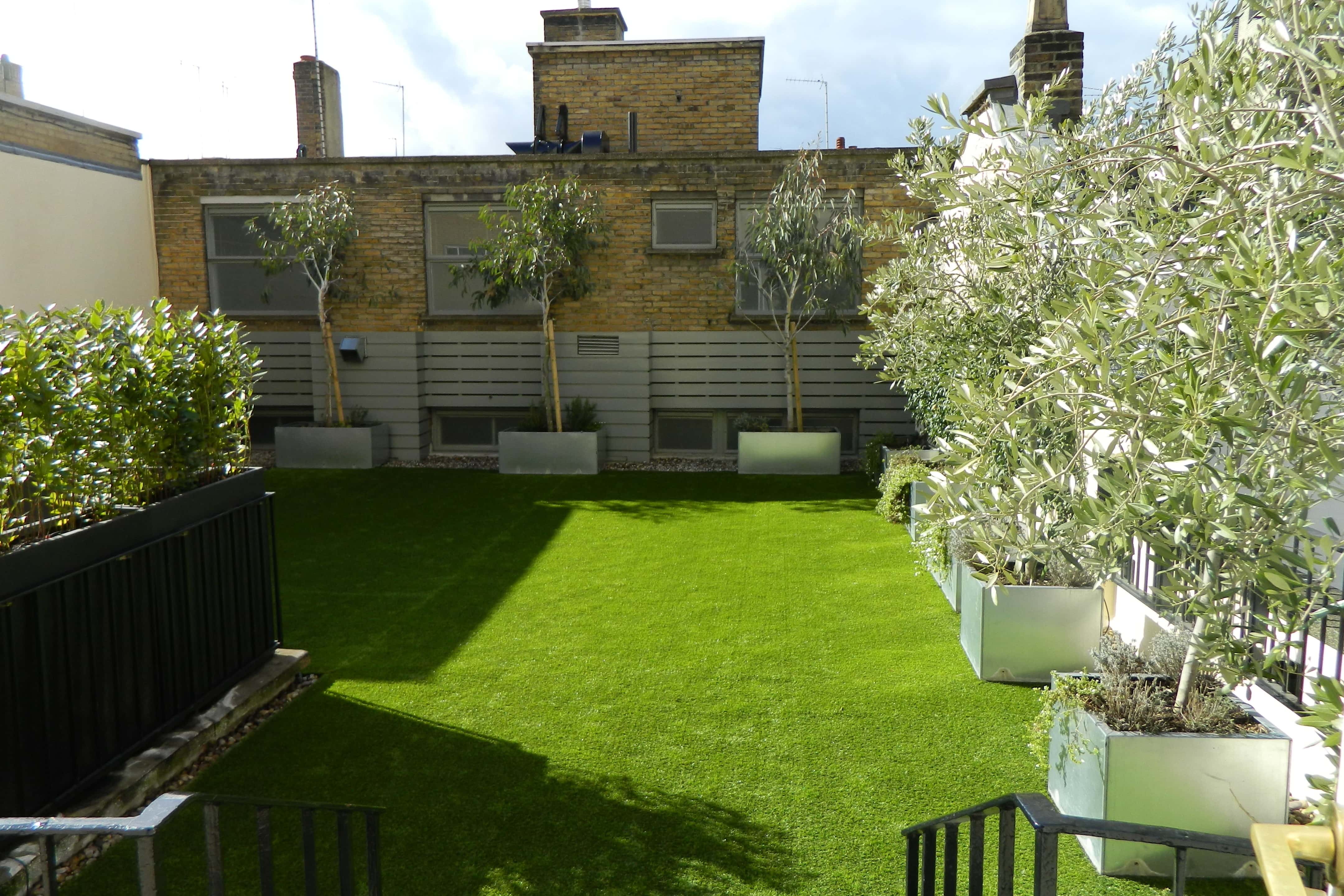 Ann Rylands & Terrace 8