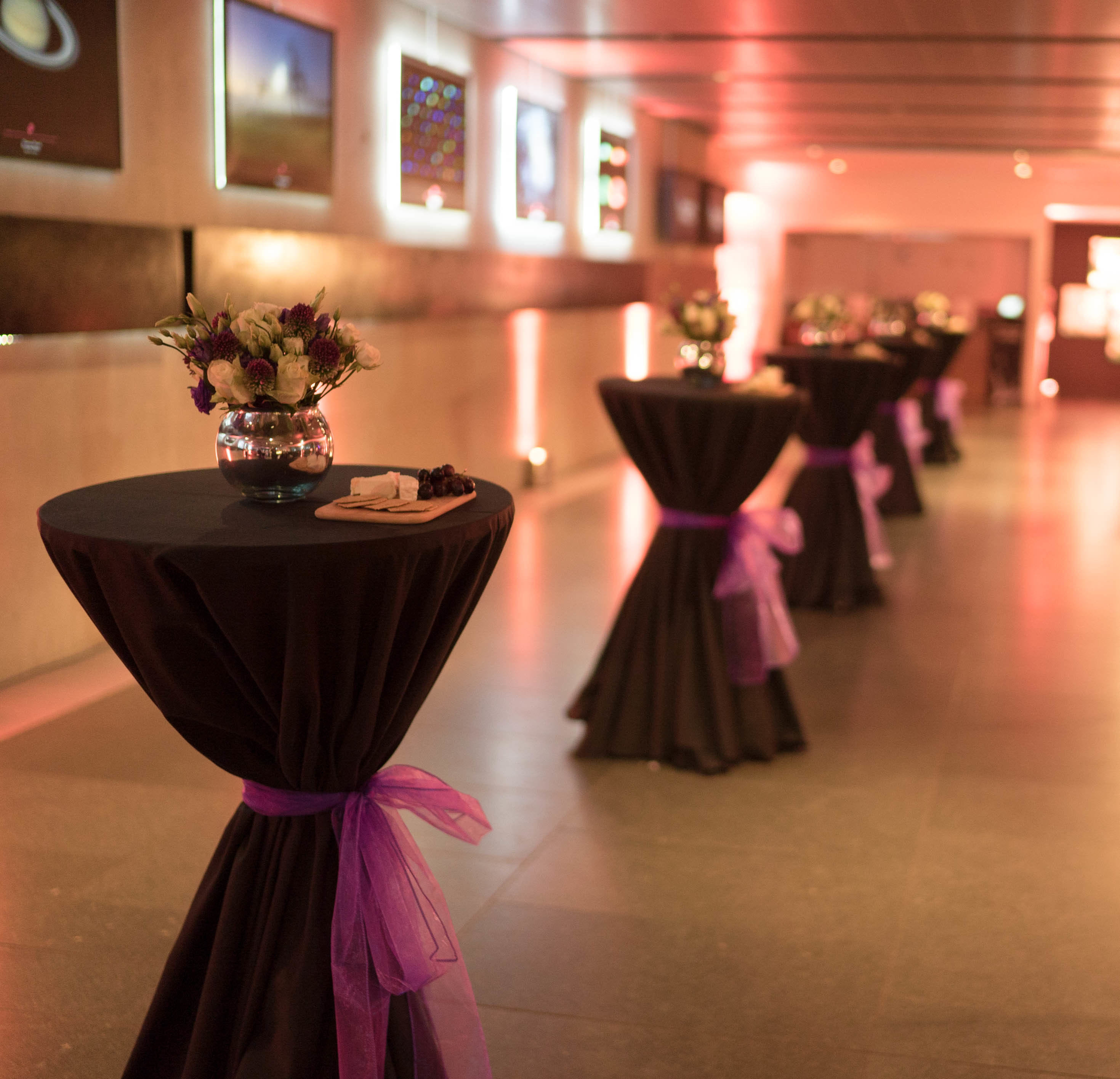 Peter Harrison Planetarium  2