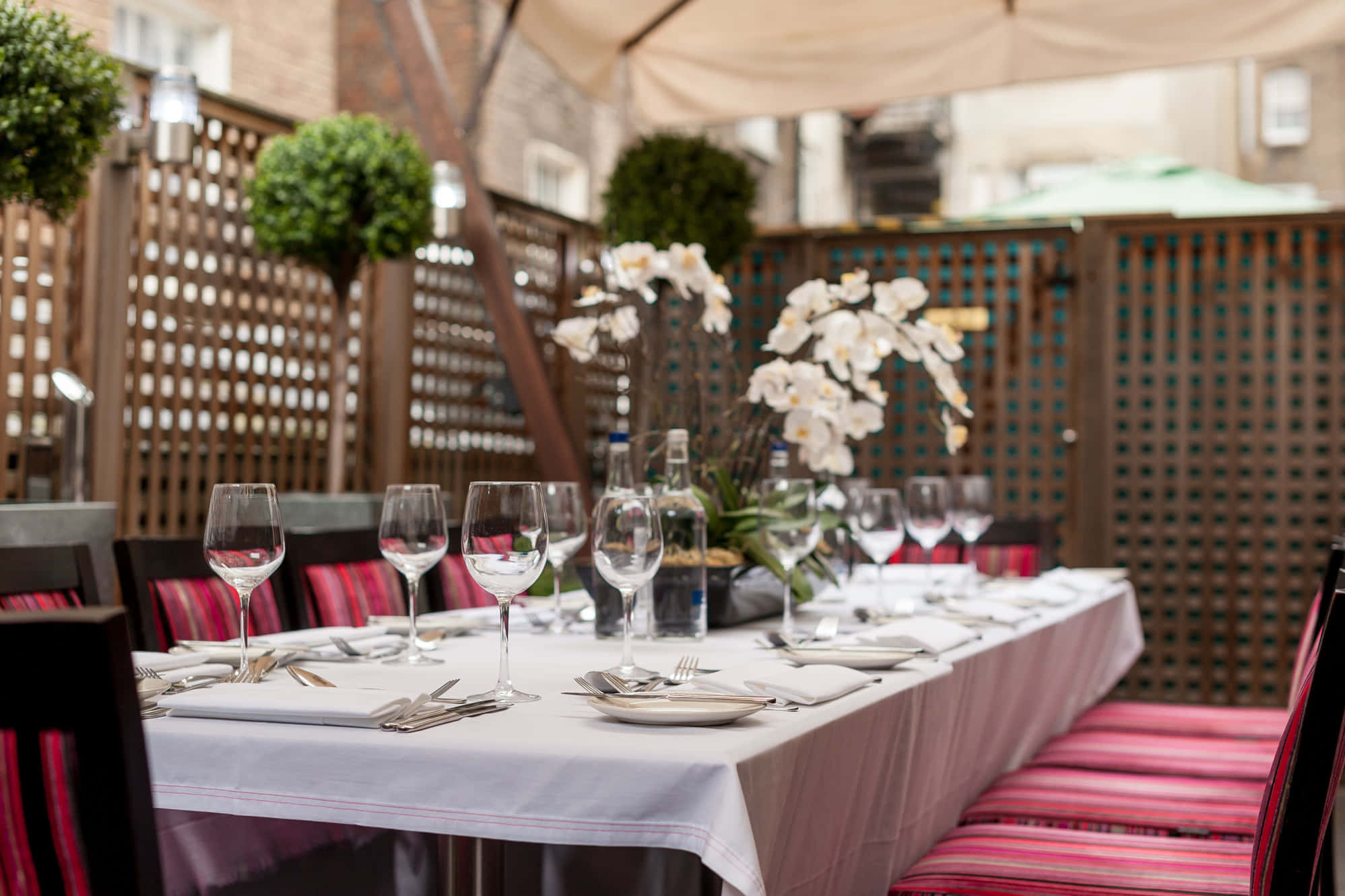 Outdoor Private Lunches 0