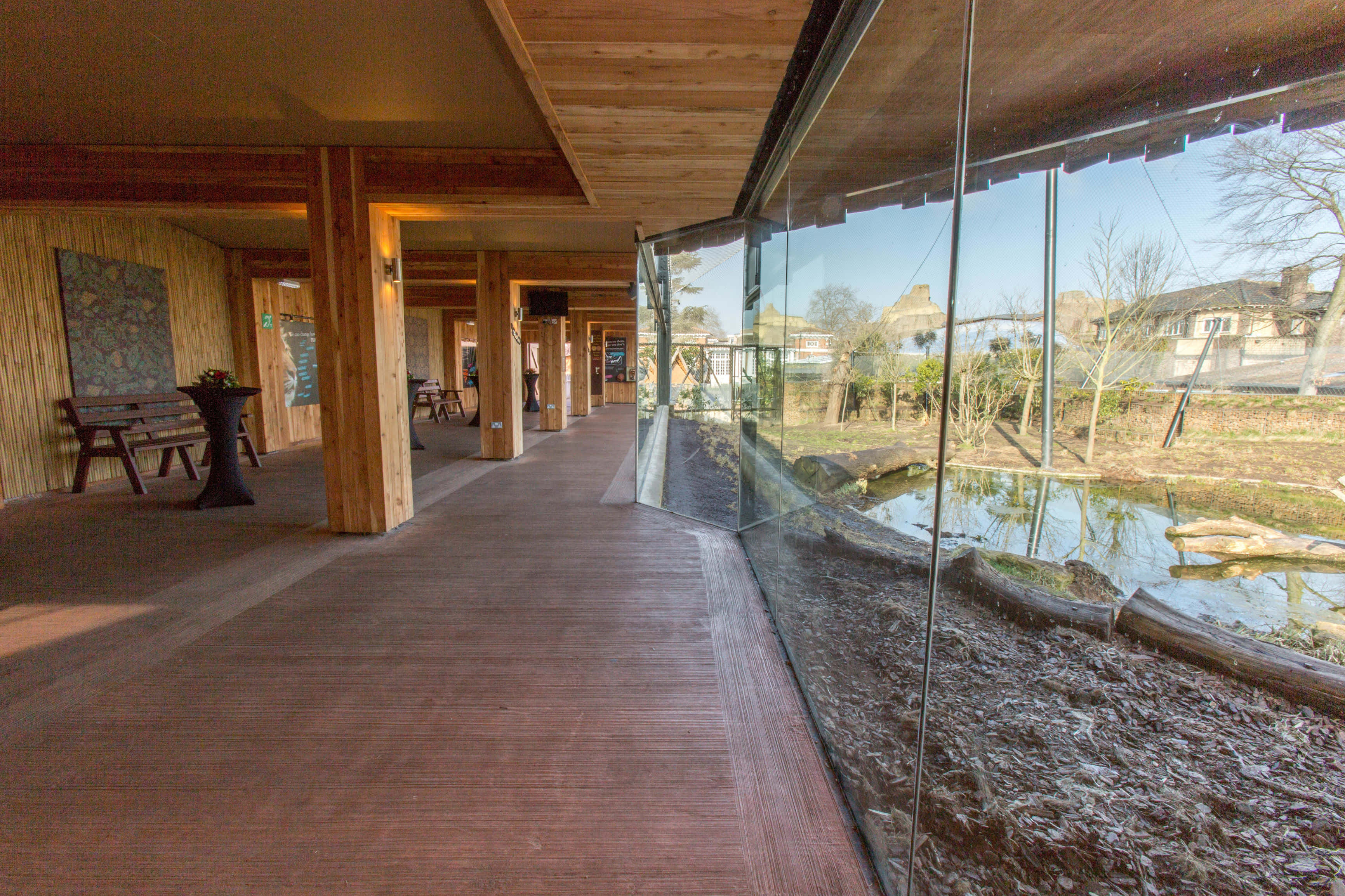 Tiger Territory 3D tour