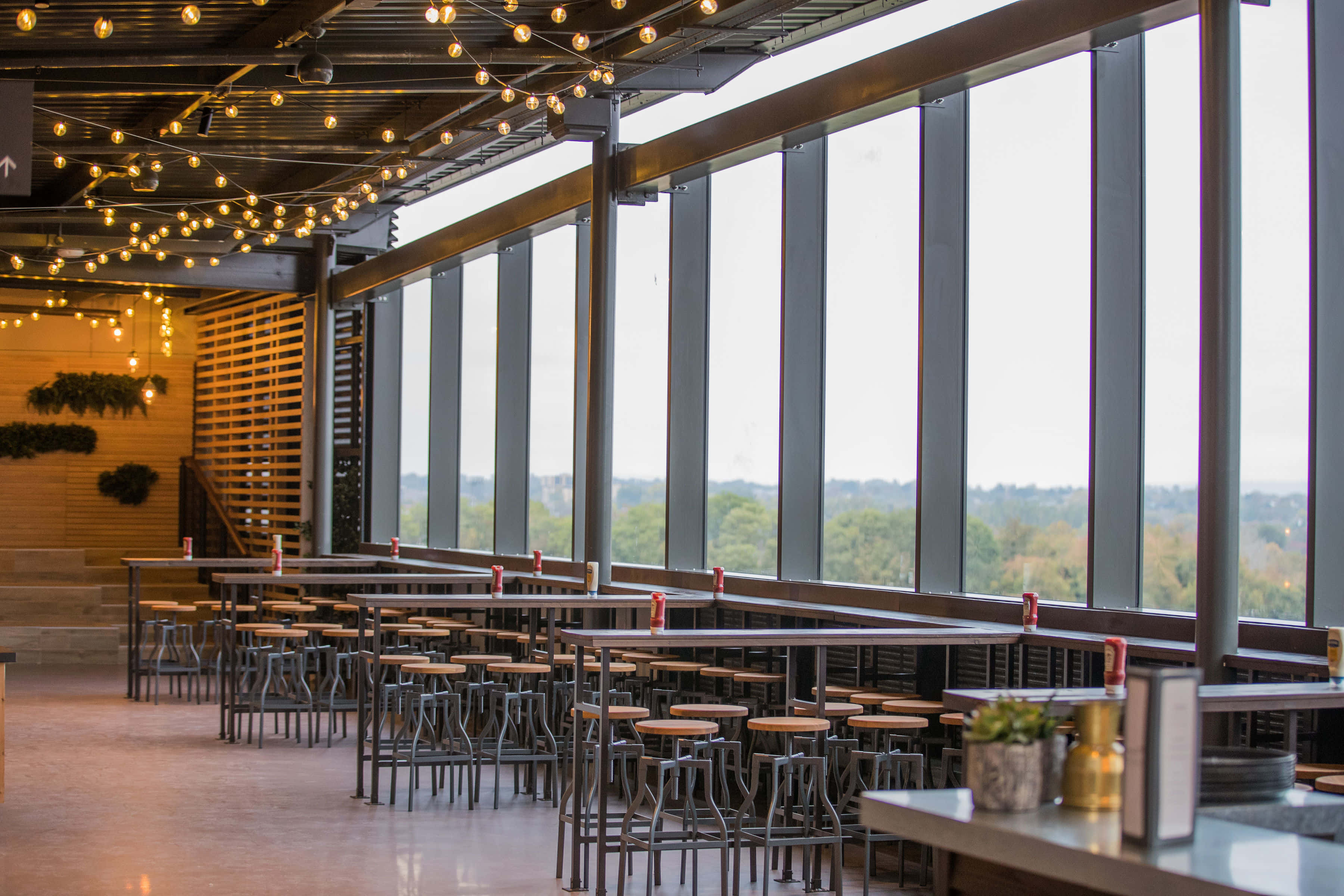 British Airways Rose Garden 1