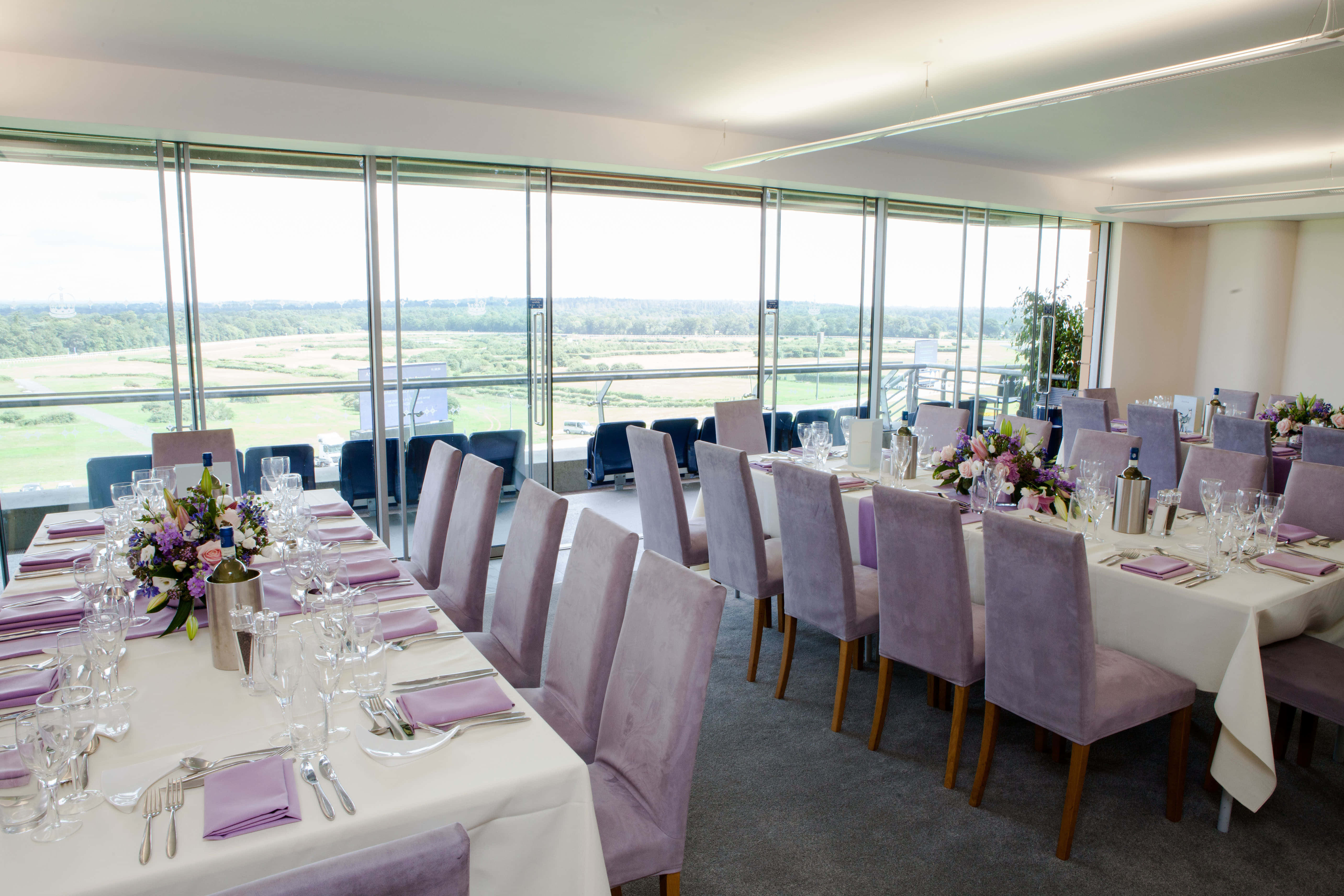 Triple Hospitality Suite 0