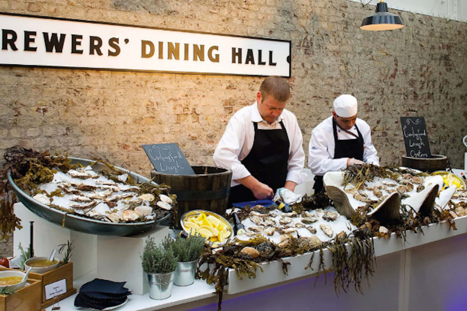 The Entire Building 16