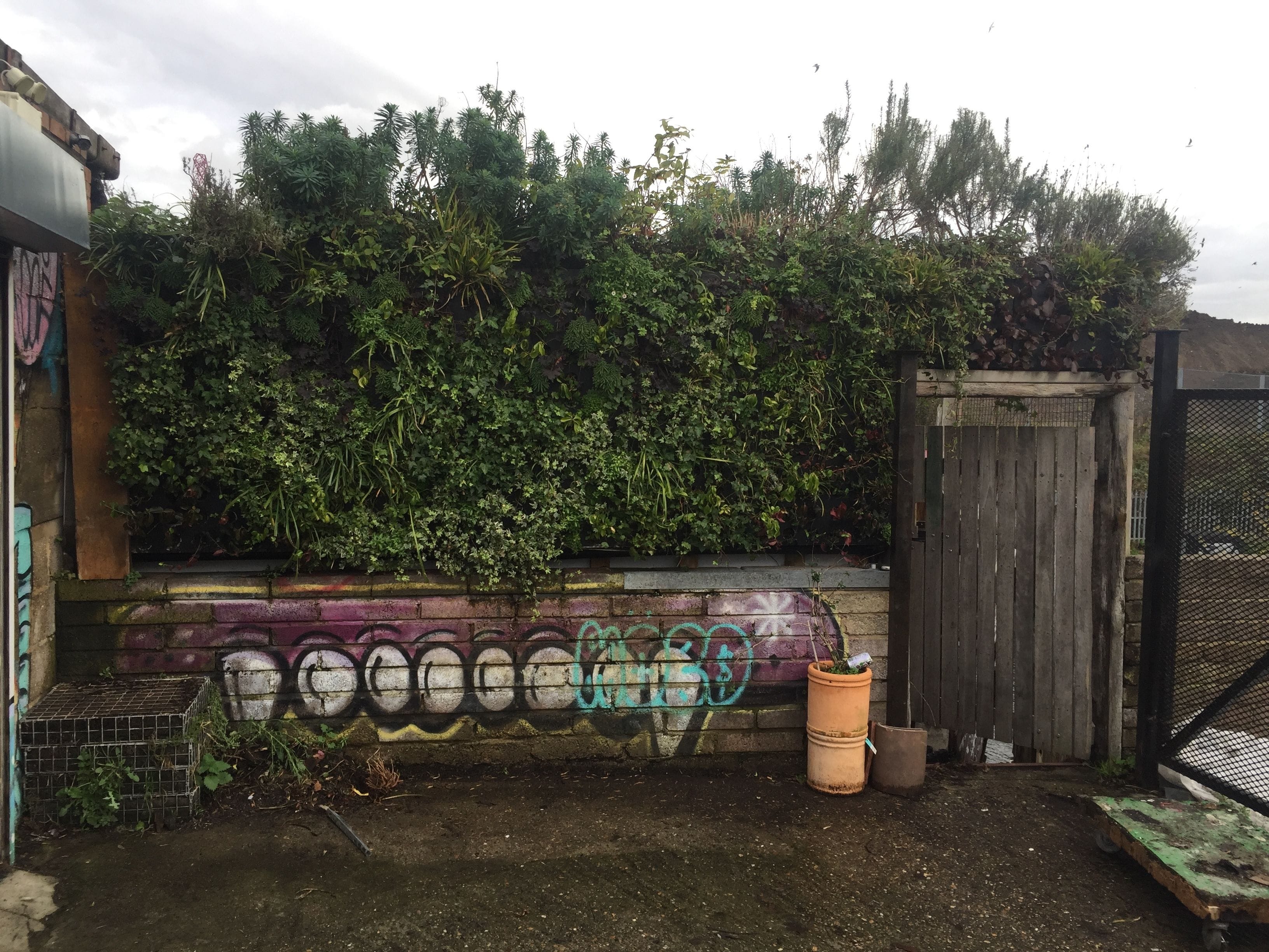 Photography Film Dining 5